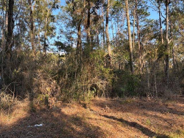 Crawfordville, FL 32327,XX Renegade Road