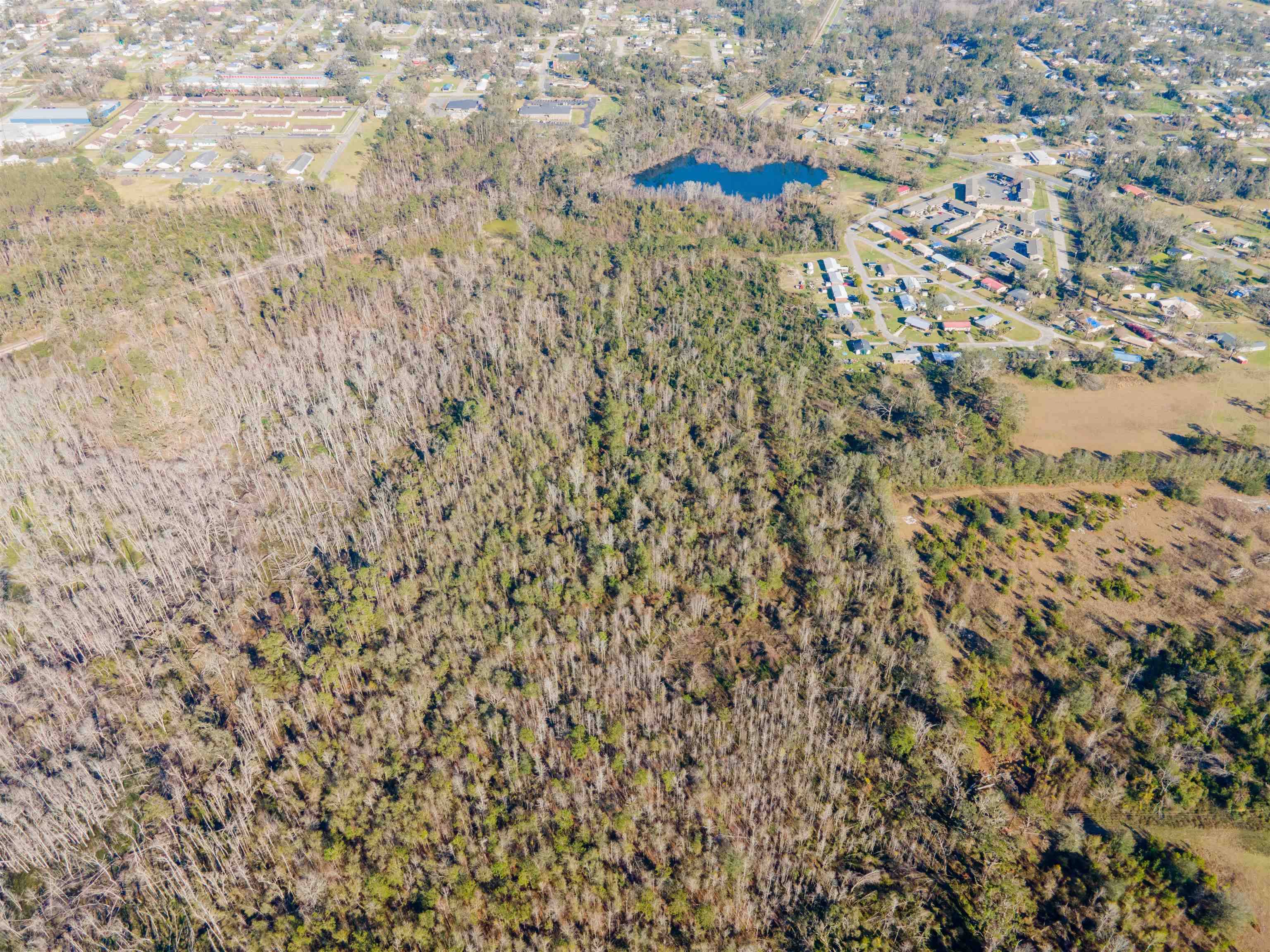 Madison, FL 32340,Vacant SE Jeanette Circle