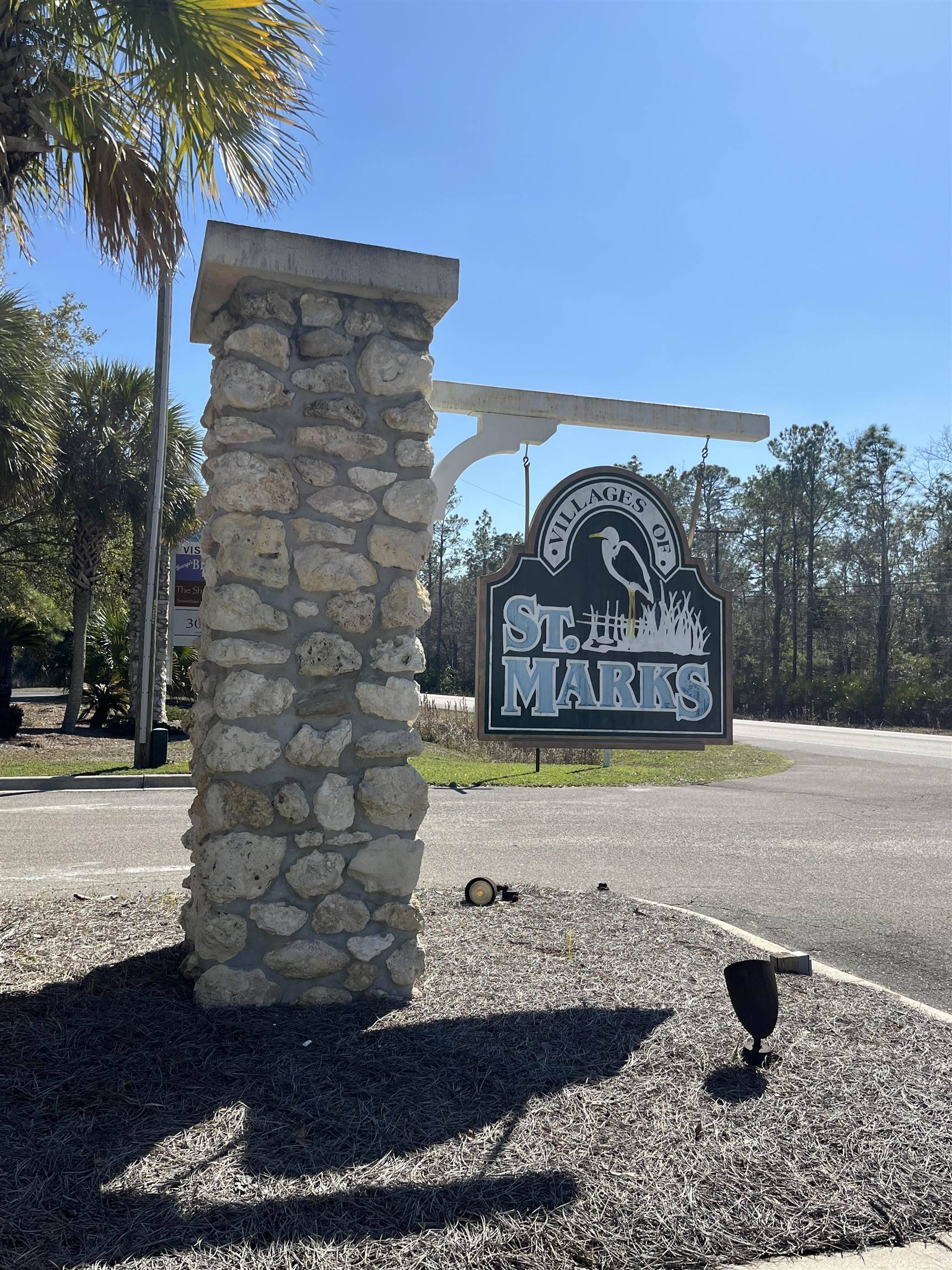 St Marks, FL 32355,Lot 10 Burnt Pine Loop