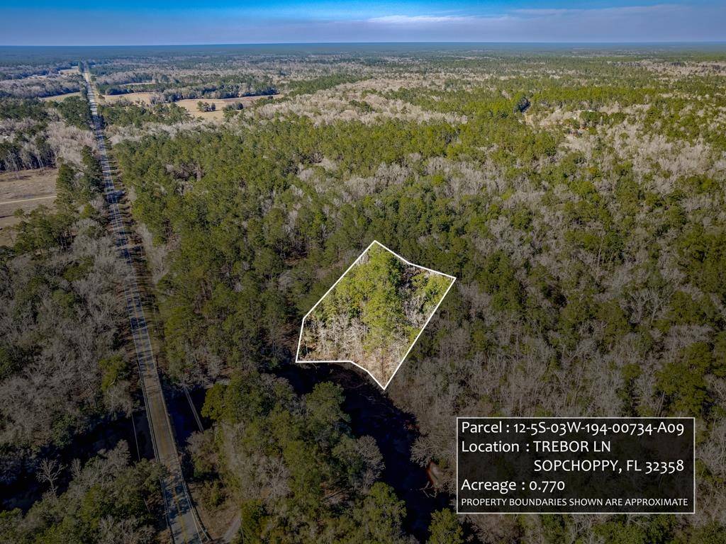 Sopchoppy, FL 32358,Lot 9 Trebor Lane