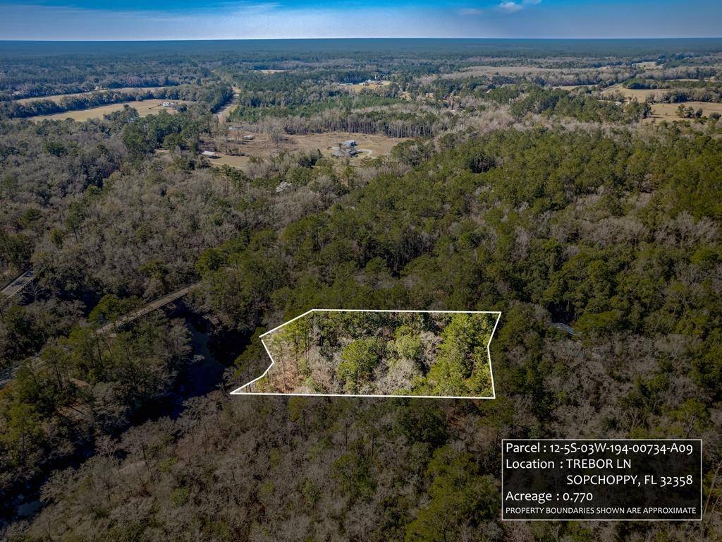 Sopchoppy, FL 32358,Lot 9 Trebor Lane