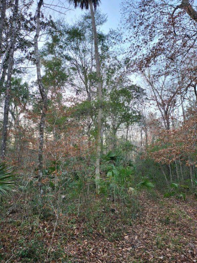 Crawfordville, FL 32327,XX River Plantation Road