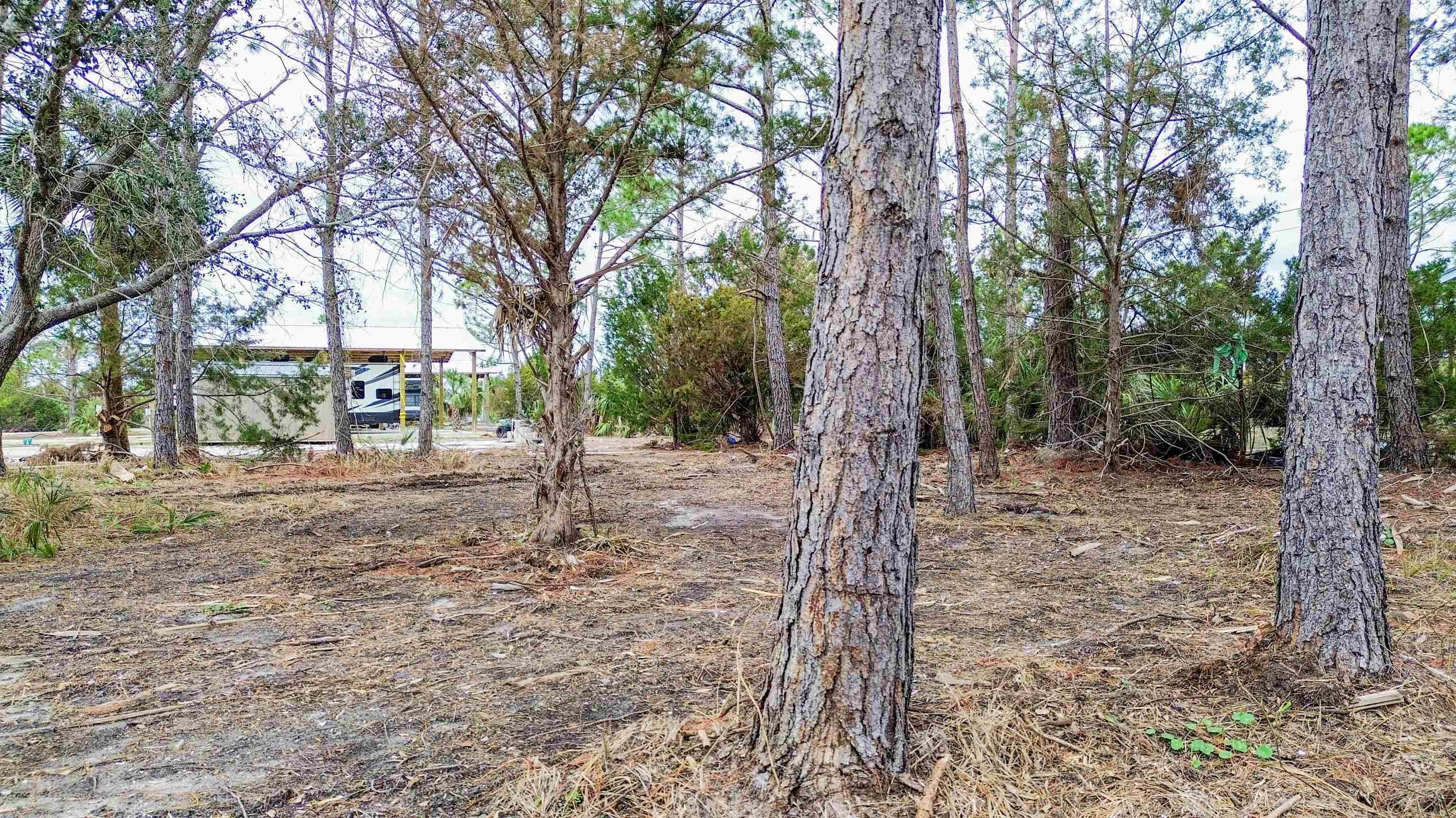 Perry, FL 32348,000 Osprey Circle