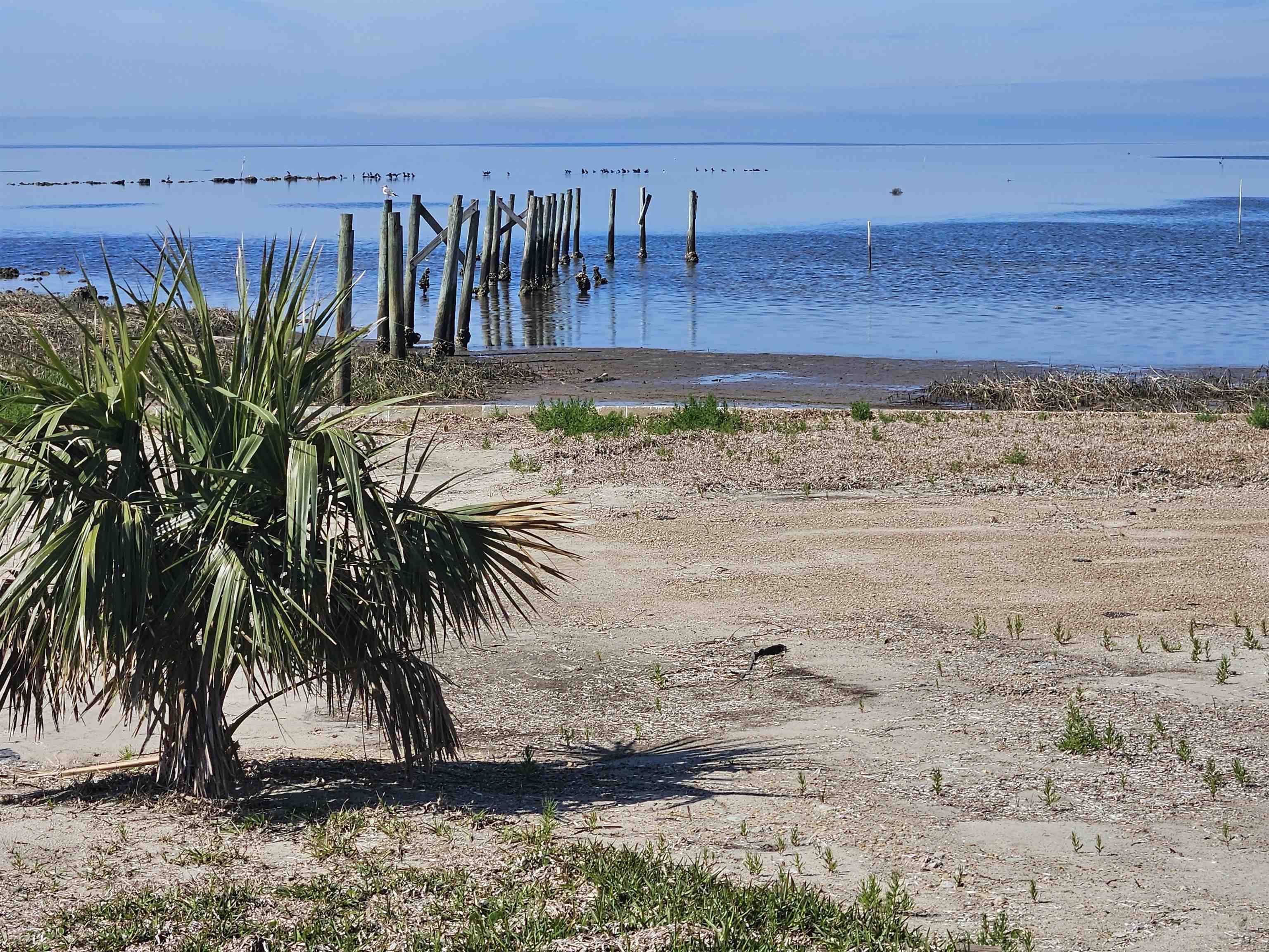 Perry, FL 32348,TBD Cedar Island Road
