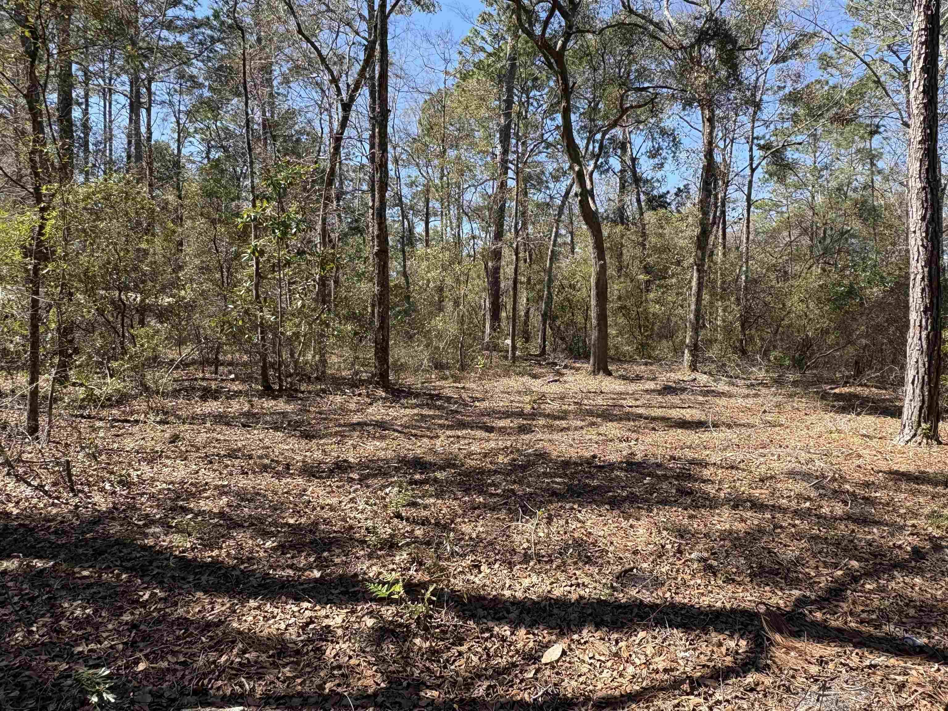 Crawfordville, FL 32327,38 Choctaw Road