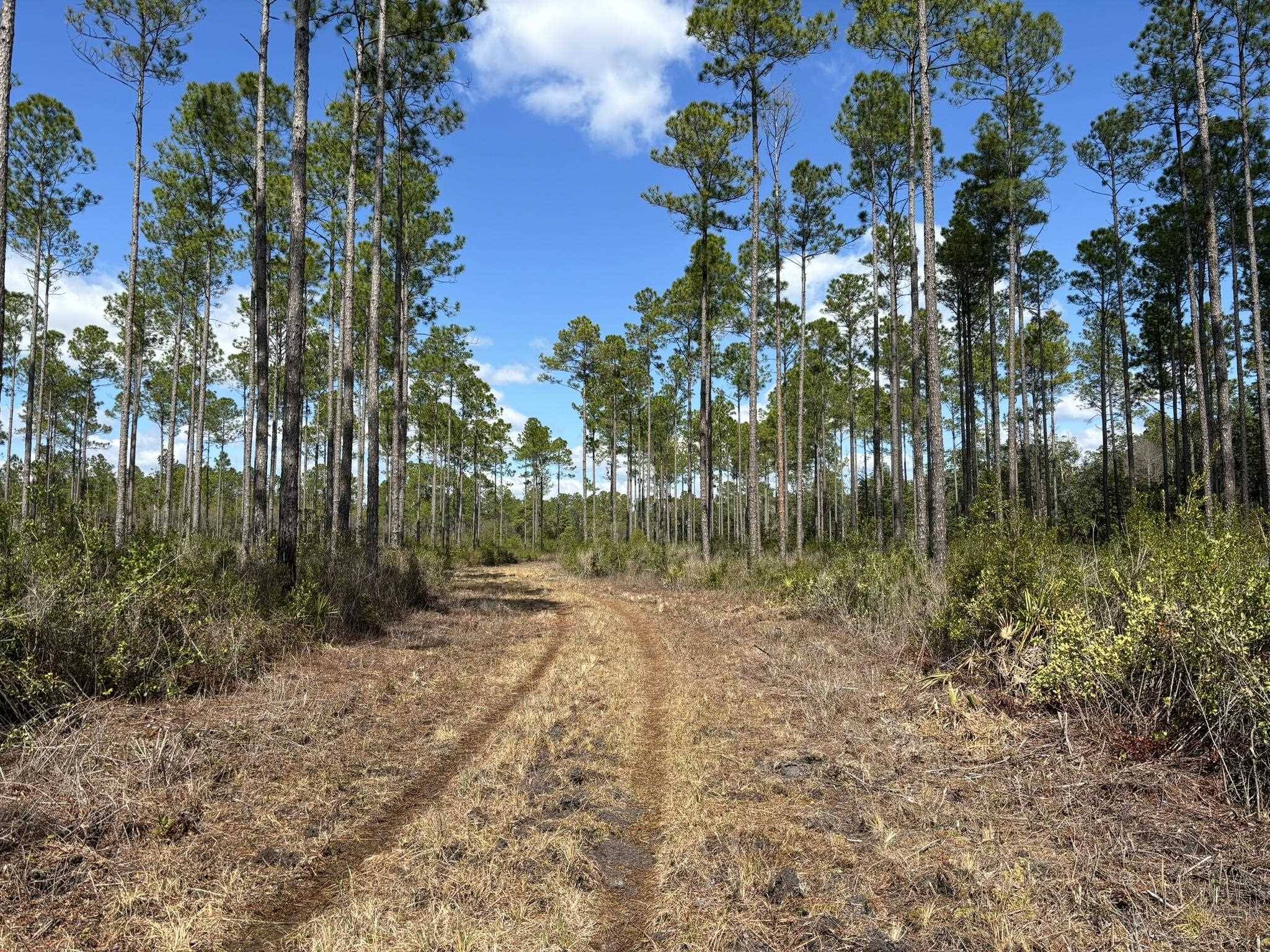 Lake Talquin, FL 32351,0 Clark Road