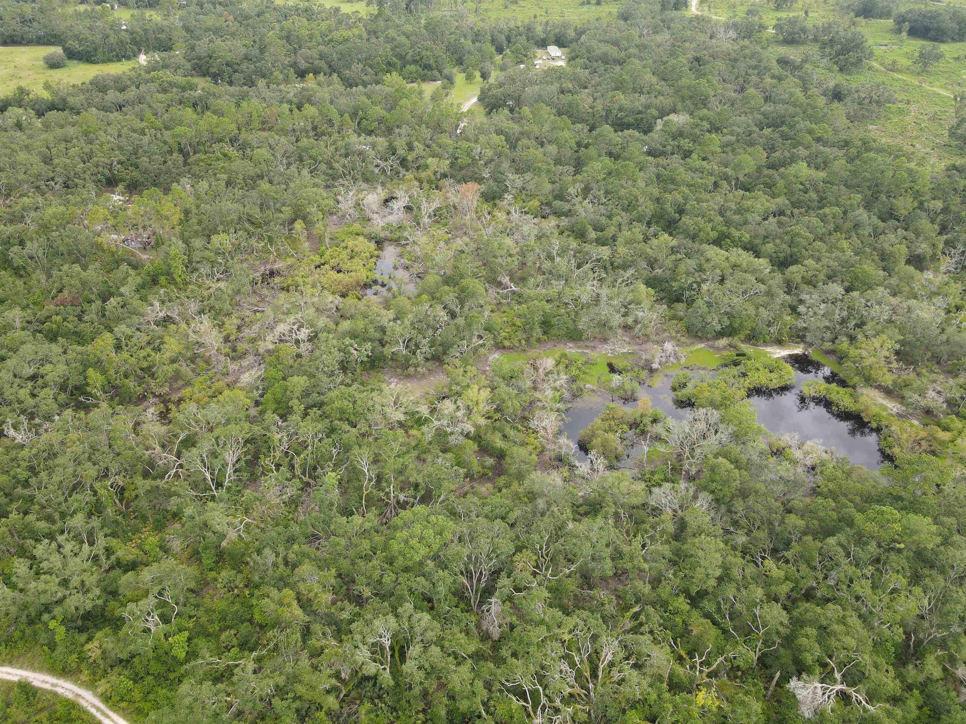 Perry, FL 32347,0 Kays Road