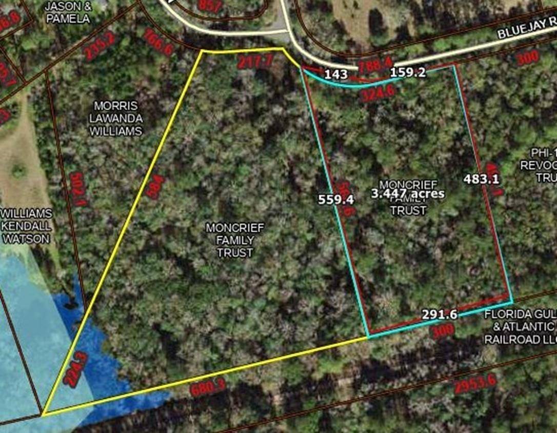 Monticello, FL 32344,00 Mallard/Blue Jay Lane #2/3