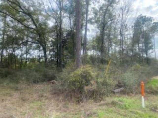 Crawfordville, FL 32327,xxxx Crawfordville Highway