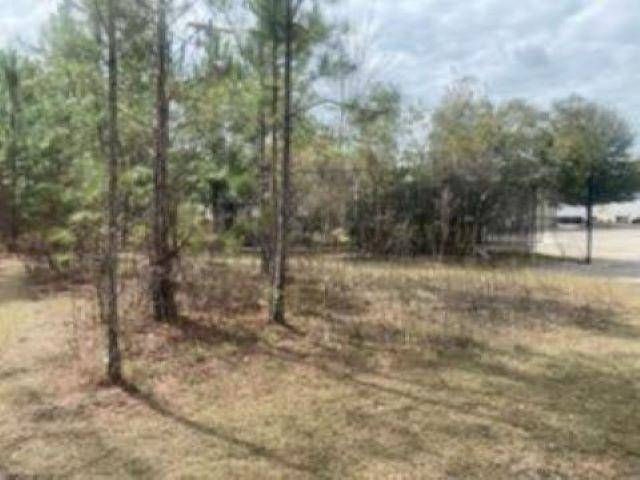 Crawfordville, FL 32327,xxxx Crawfordville Highway