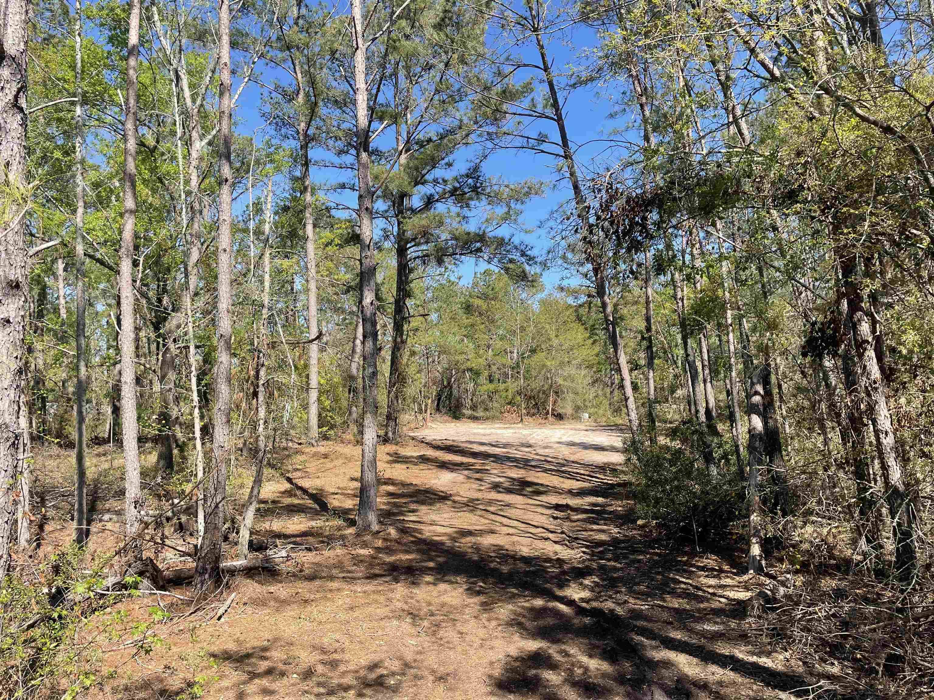 Jasper, FL 32052,6224 SW 92nd Dr.