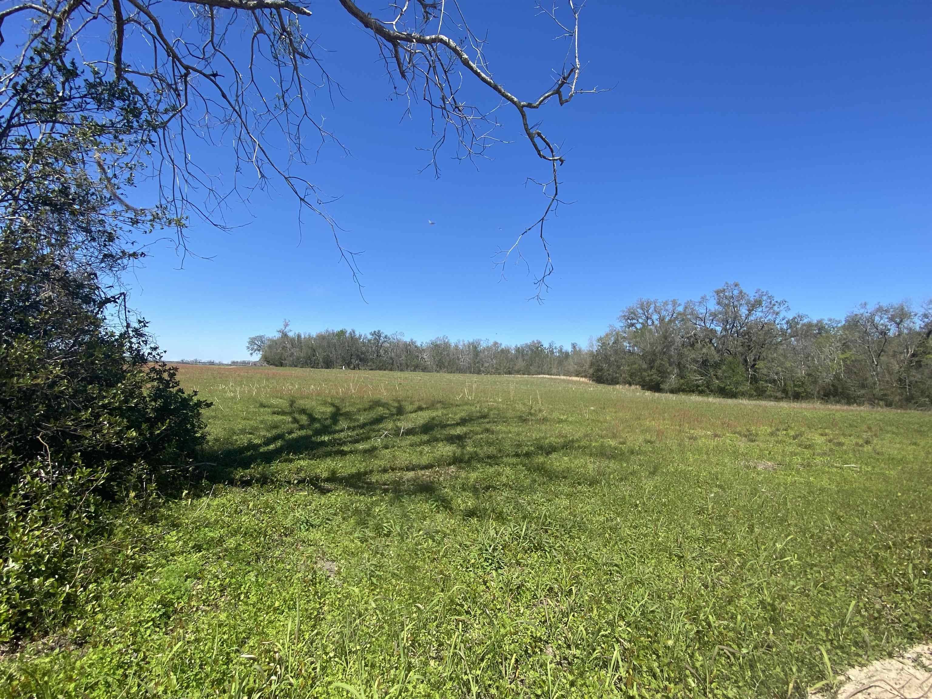 Lee, FL 32059,5377 Cattail Drive