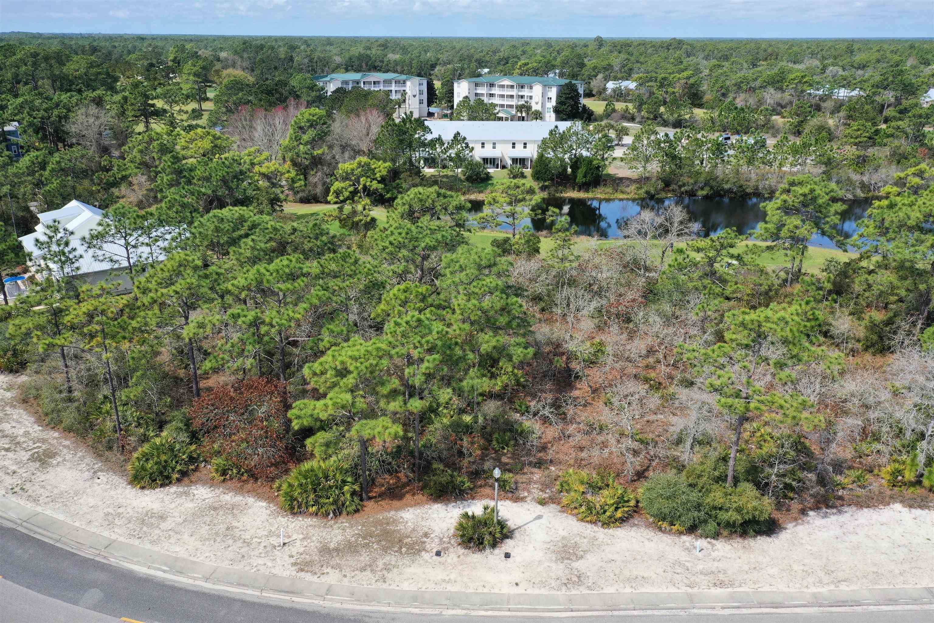 Carrabelle, FL 32322,305 Royal Tern Way