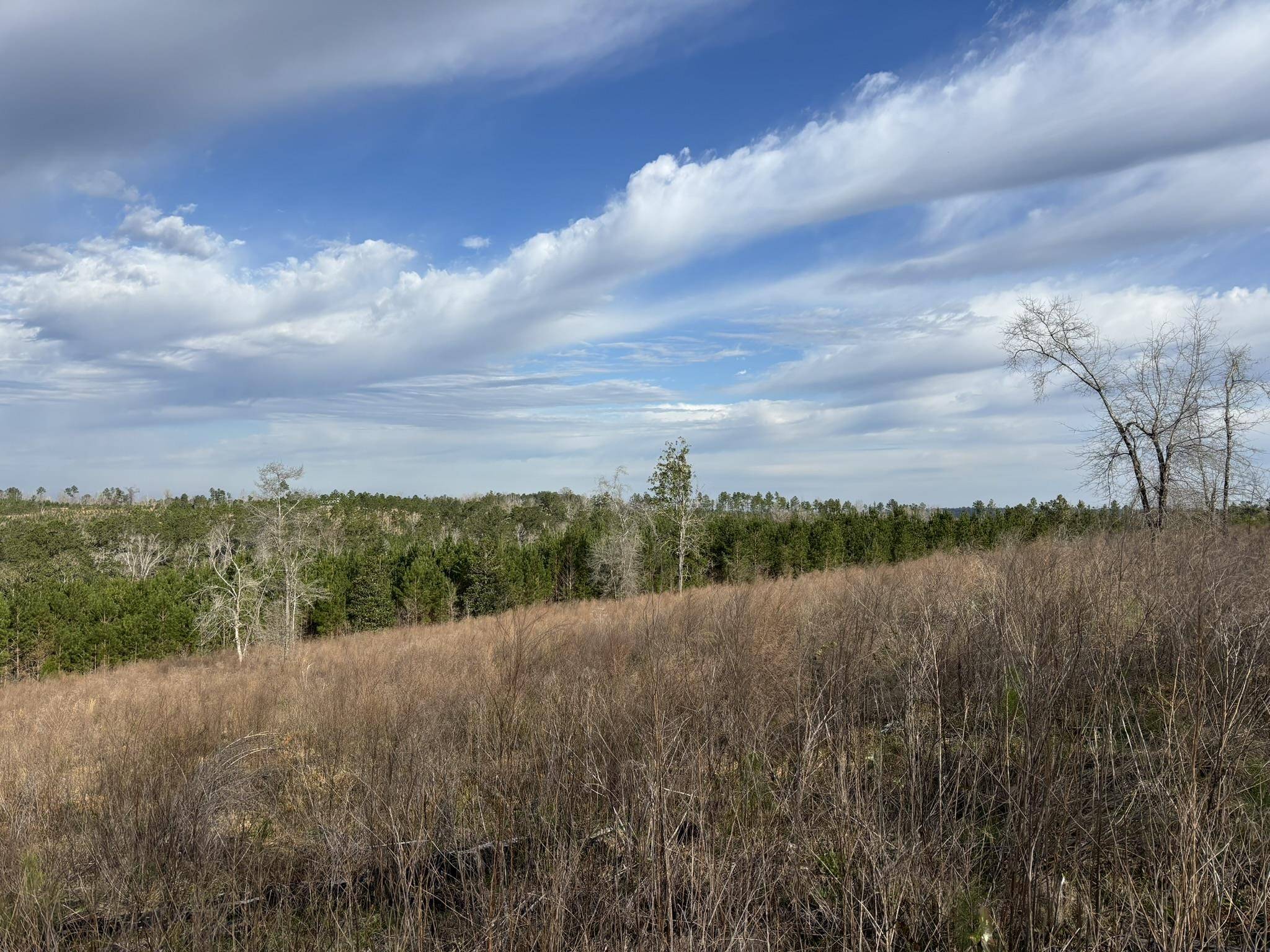 Chattahoochee, FL 32324,322 Graceland Road