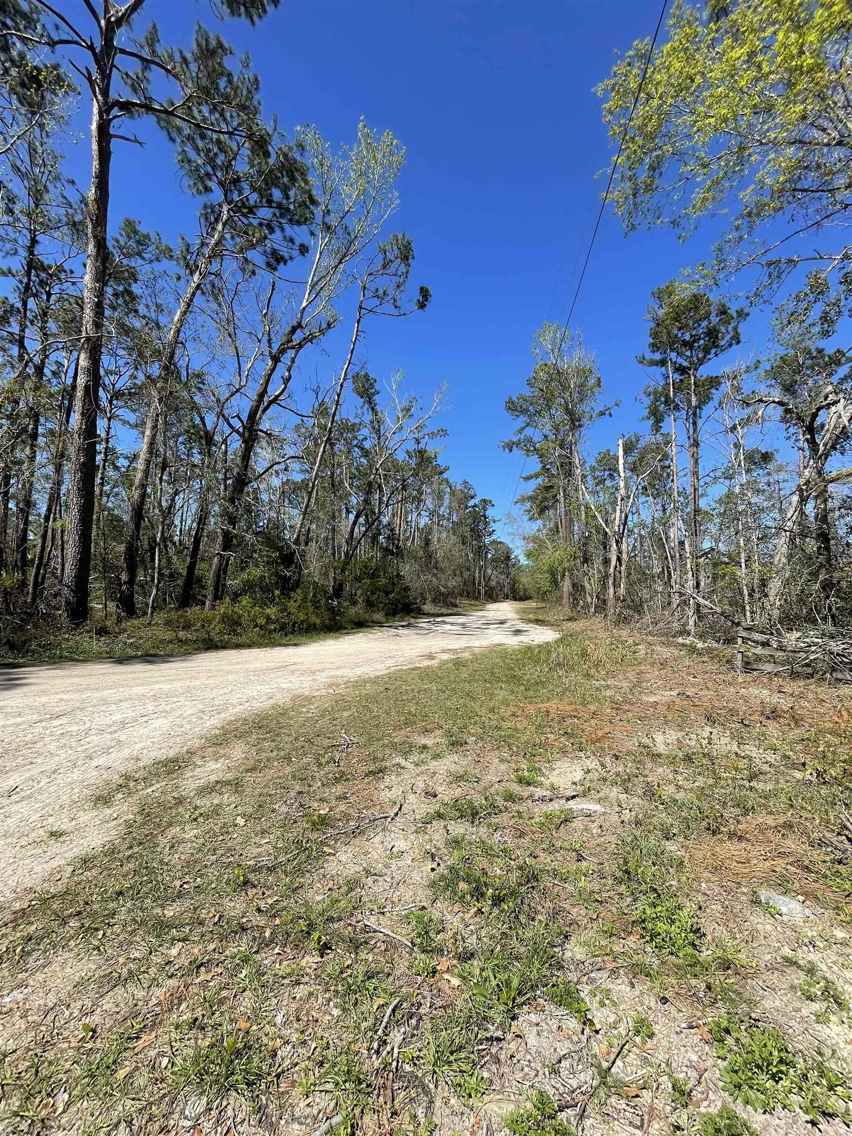 Lee, FL 32059,Vacant NE Chervil Drive