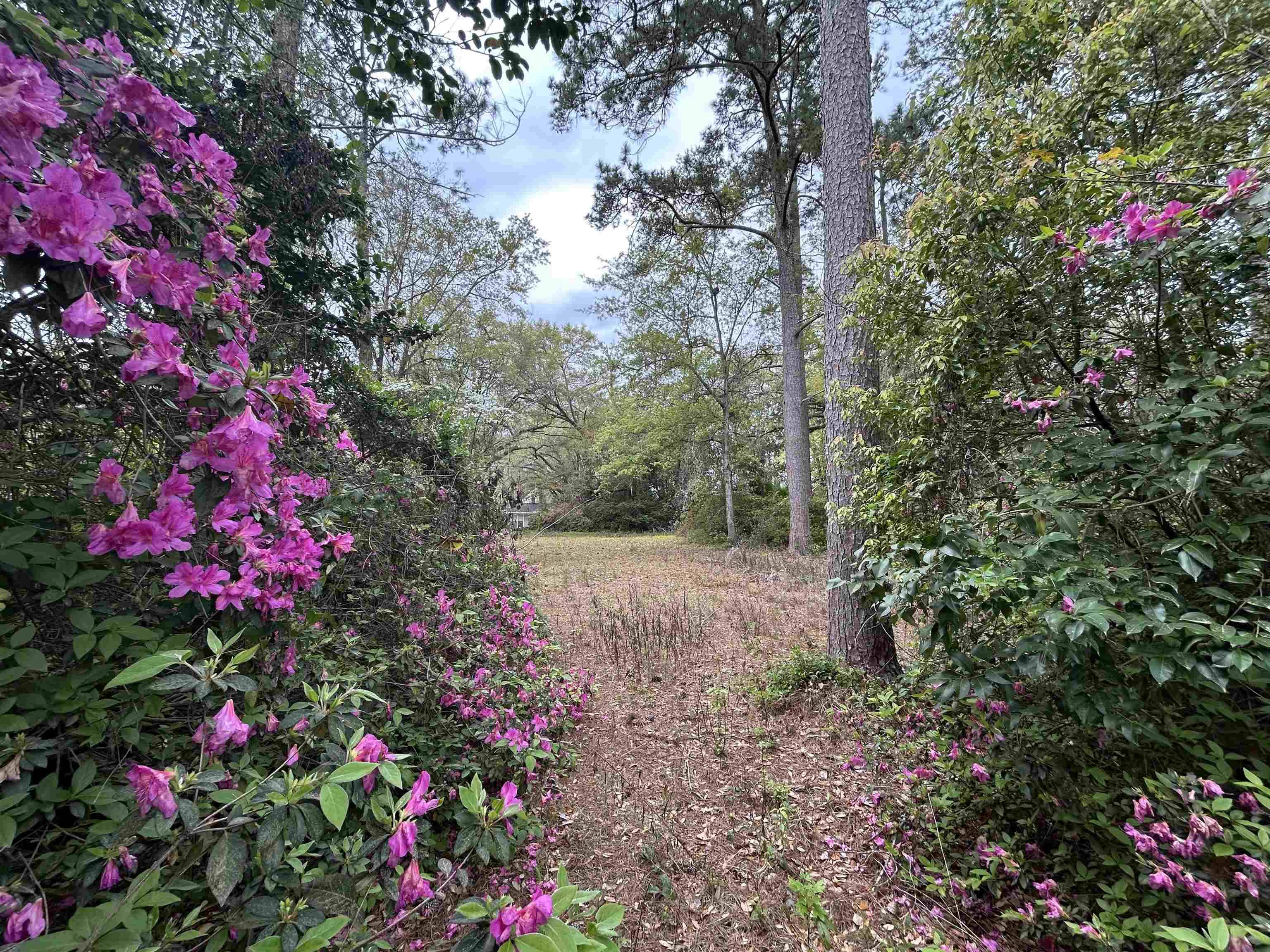 Tallahassee, FL 32304,Buena Vista Drive