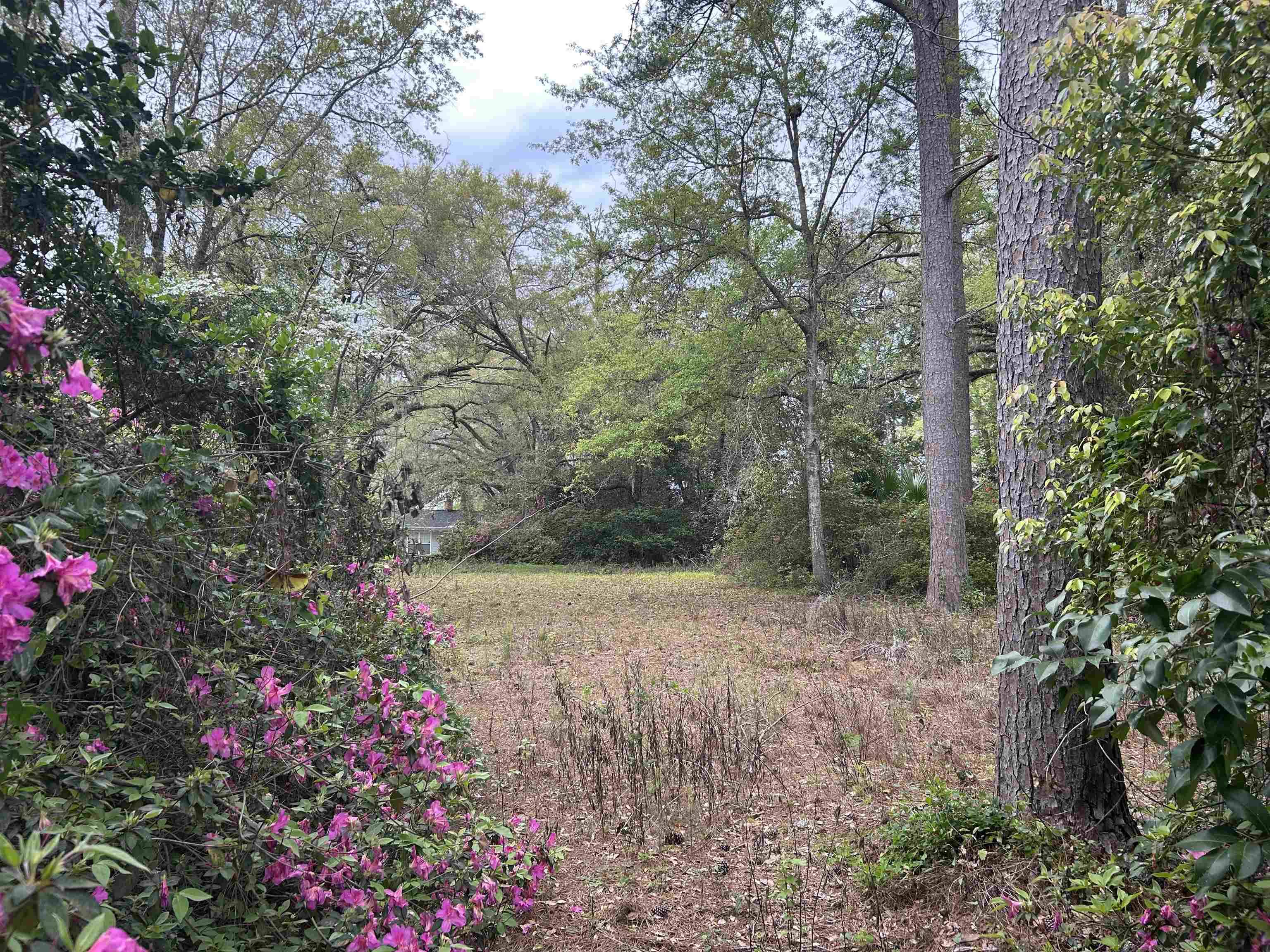 Tallahassee, FL 32304,Buena Vista Drive