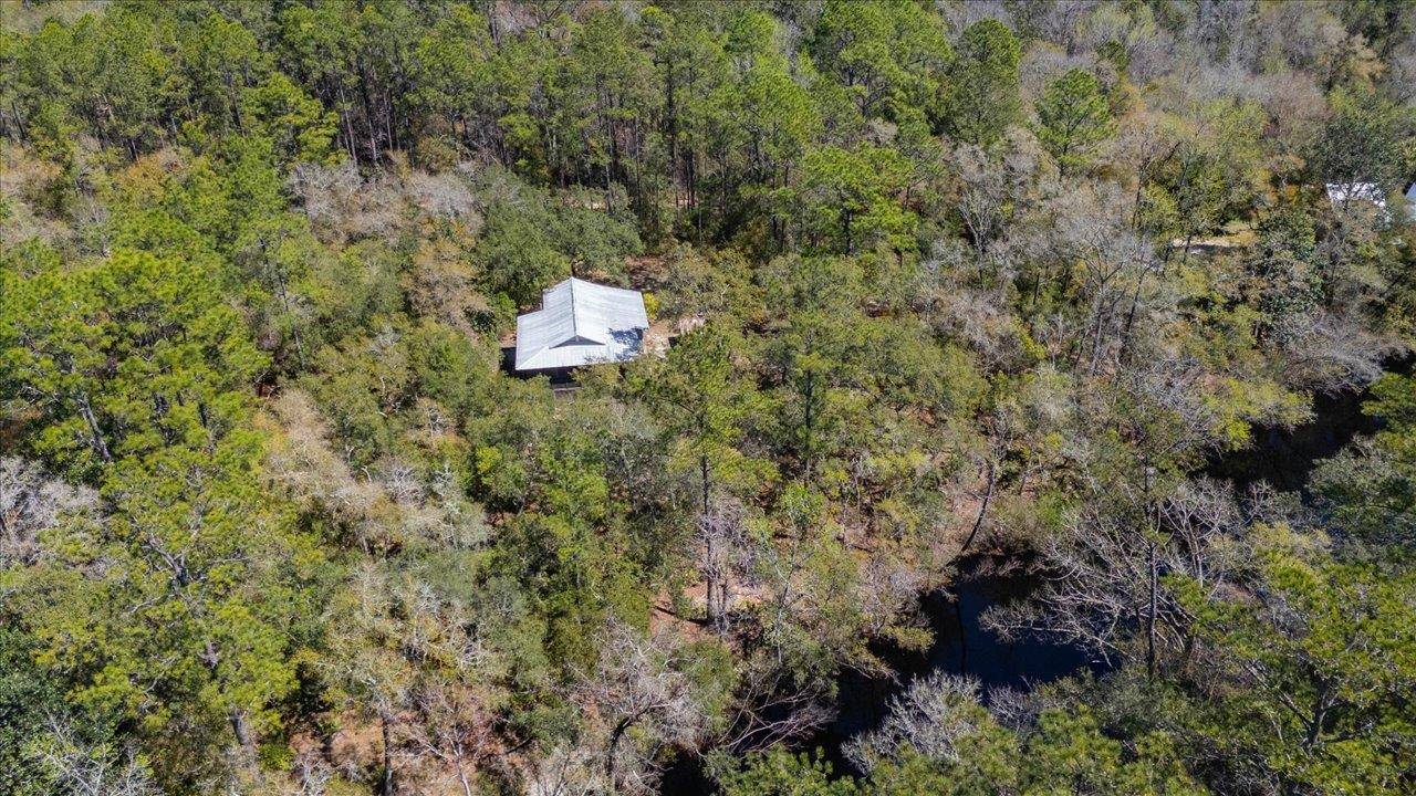 Sopchoppy, FL 32358,30 Lizard Lane