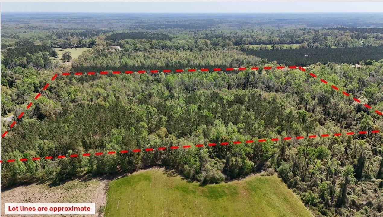 Lamont, FL 32336,Vacant Attatulga Road