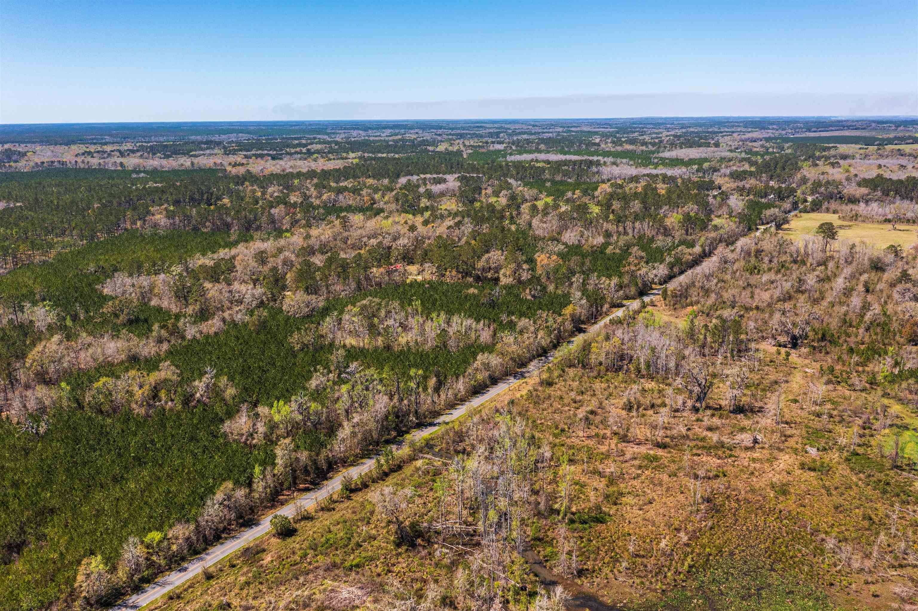 Monticello, FL 32344,TBD Walker Springs Road