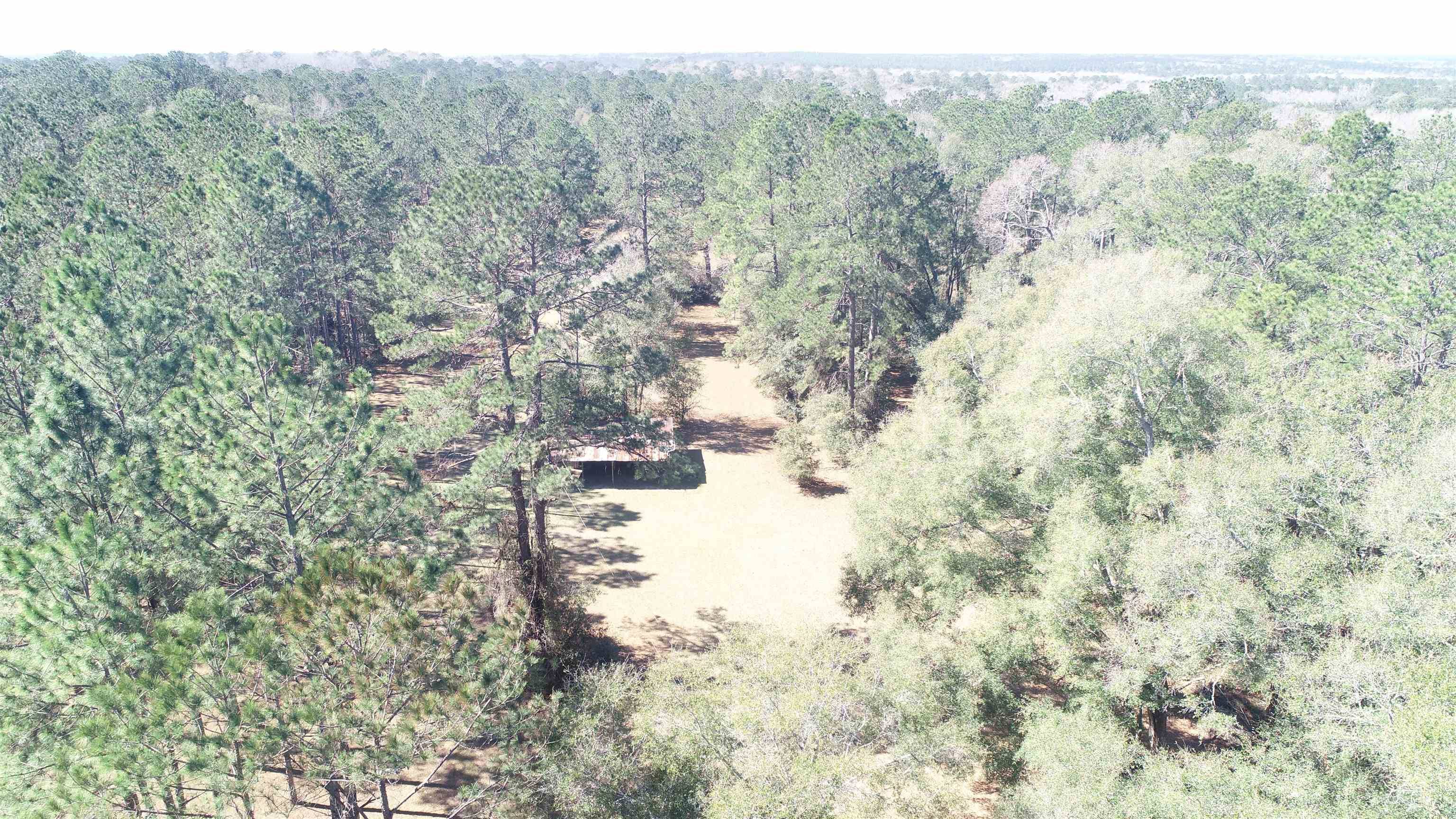 Monticello, FL 32344,1400 Gamble Road