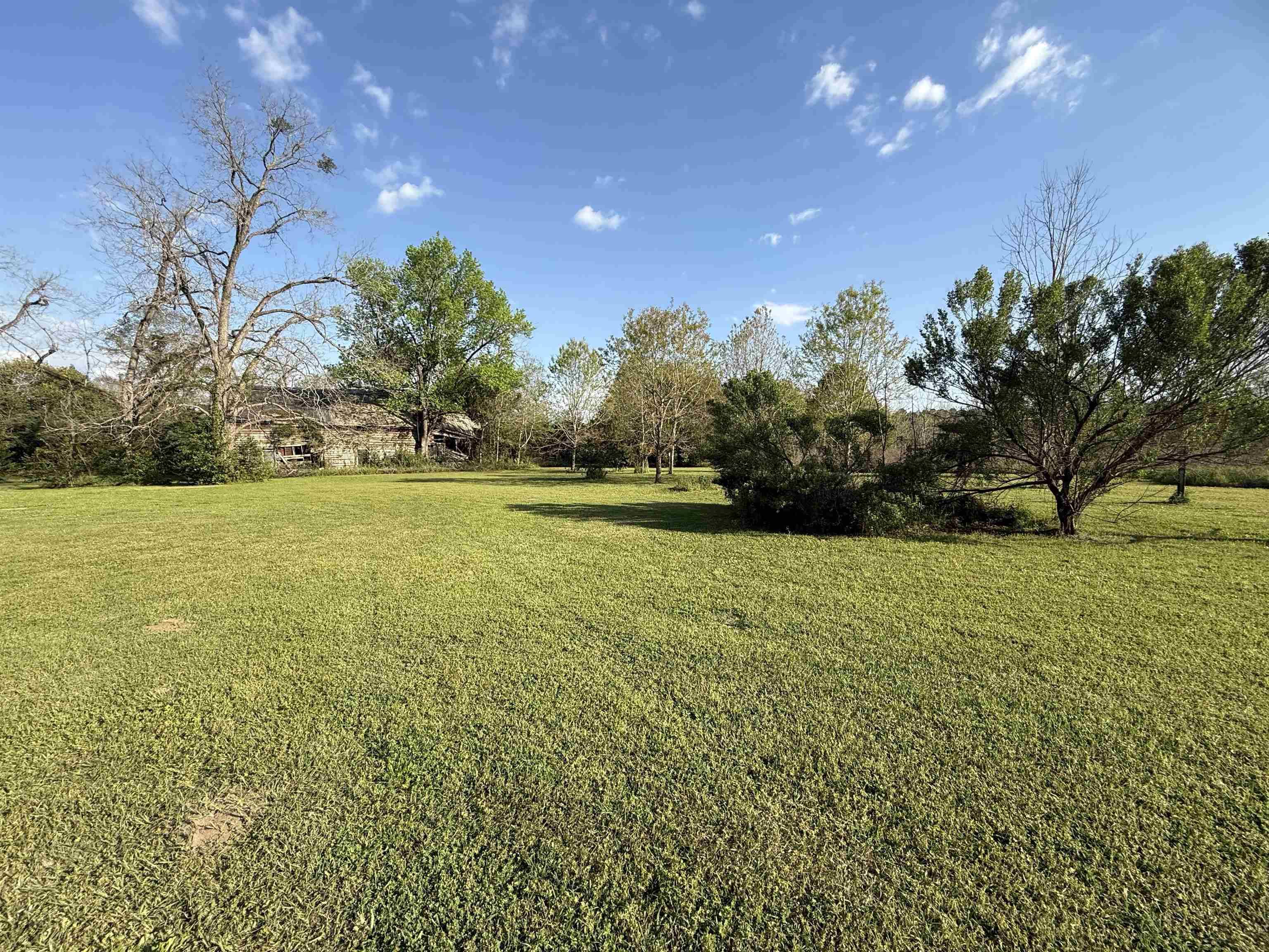 Havana, FL 32333,137 Wayside Farm Road