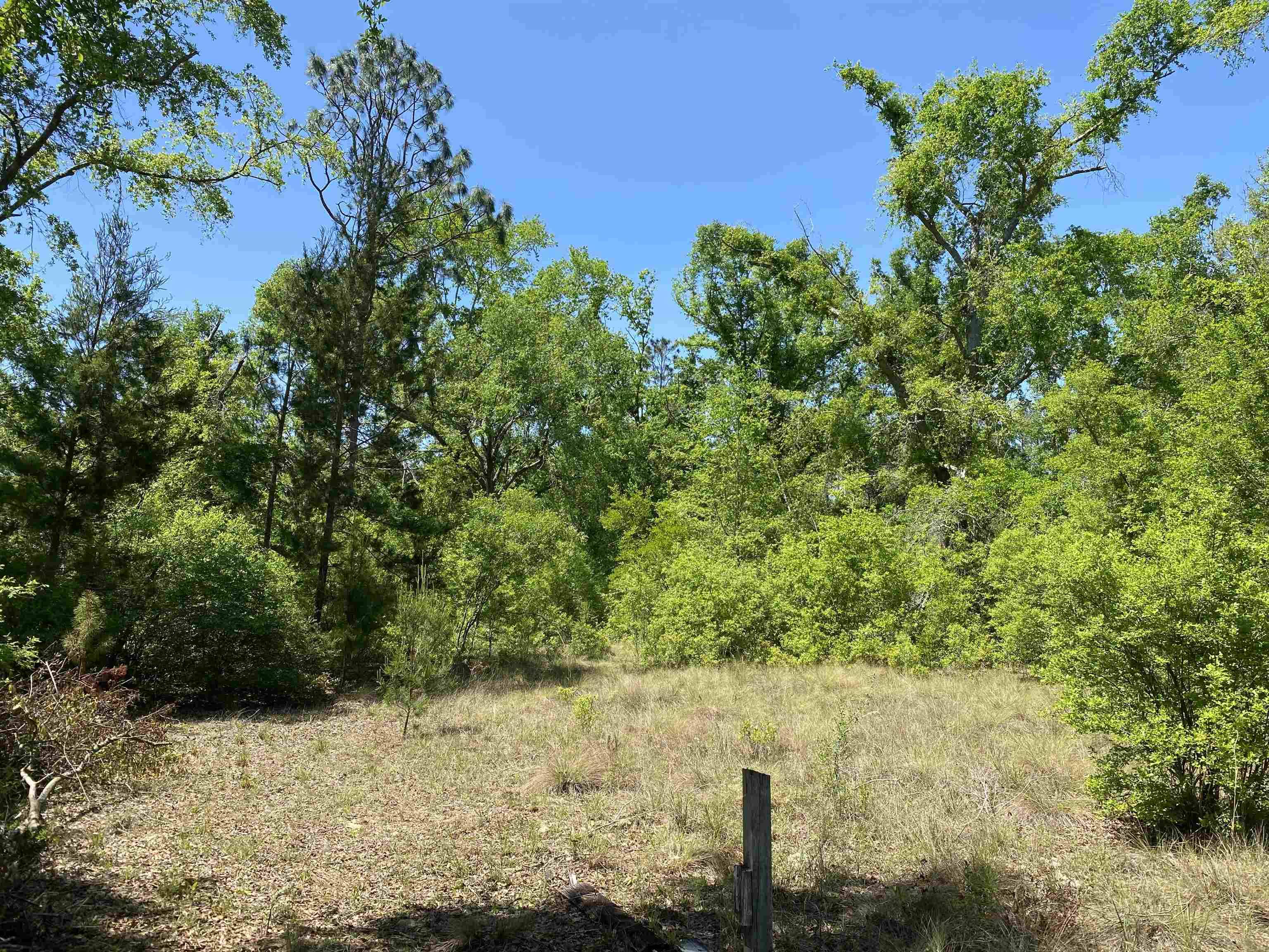 Lee, FL 32059,416 NE Hillside Terrace