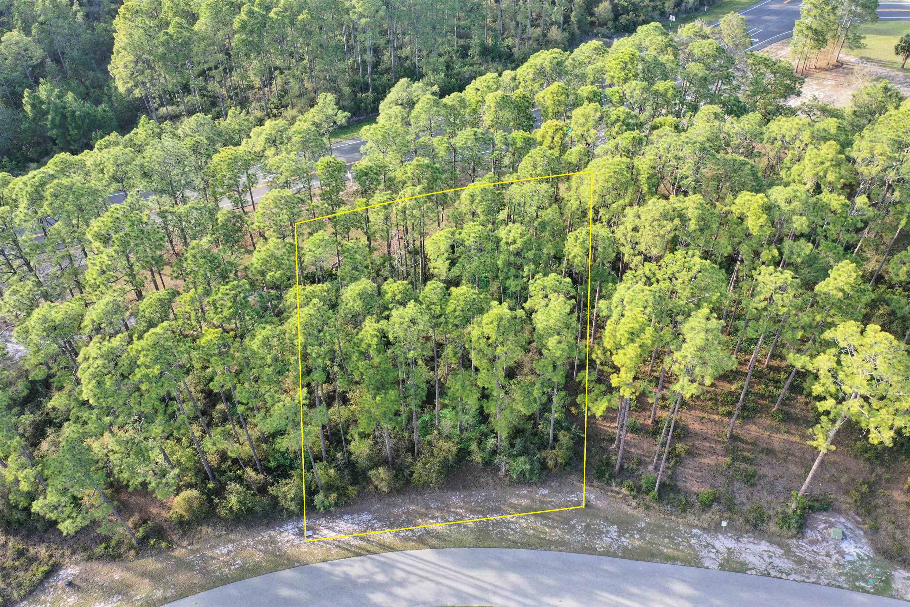 St Teresa, FL 32358,3469 Firefly Circle #Lot 125 - West