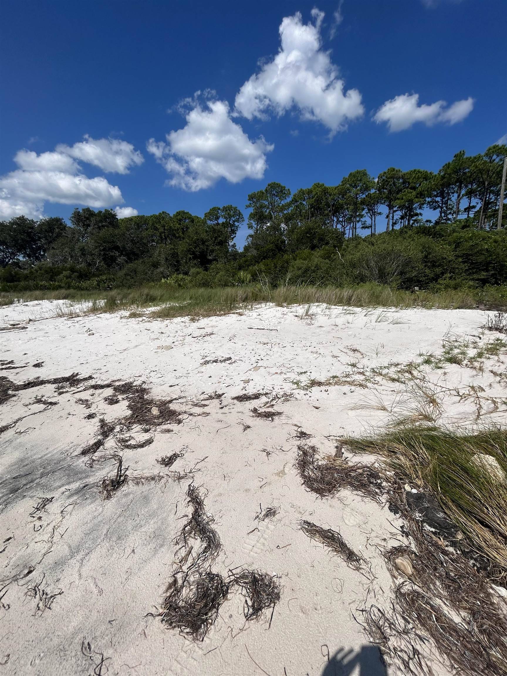 Carrabelle, FL 32322,xxx US Highway 98