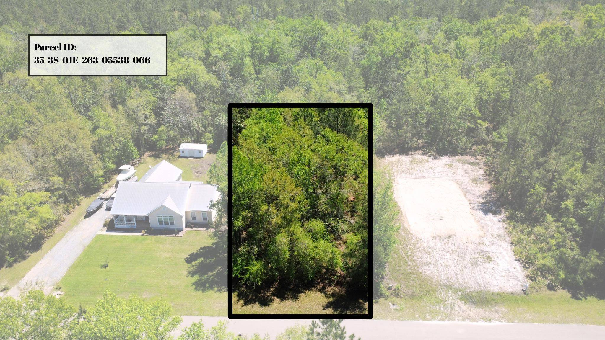 St Marks, FL 32355,00 Old Palmetto Path