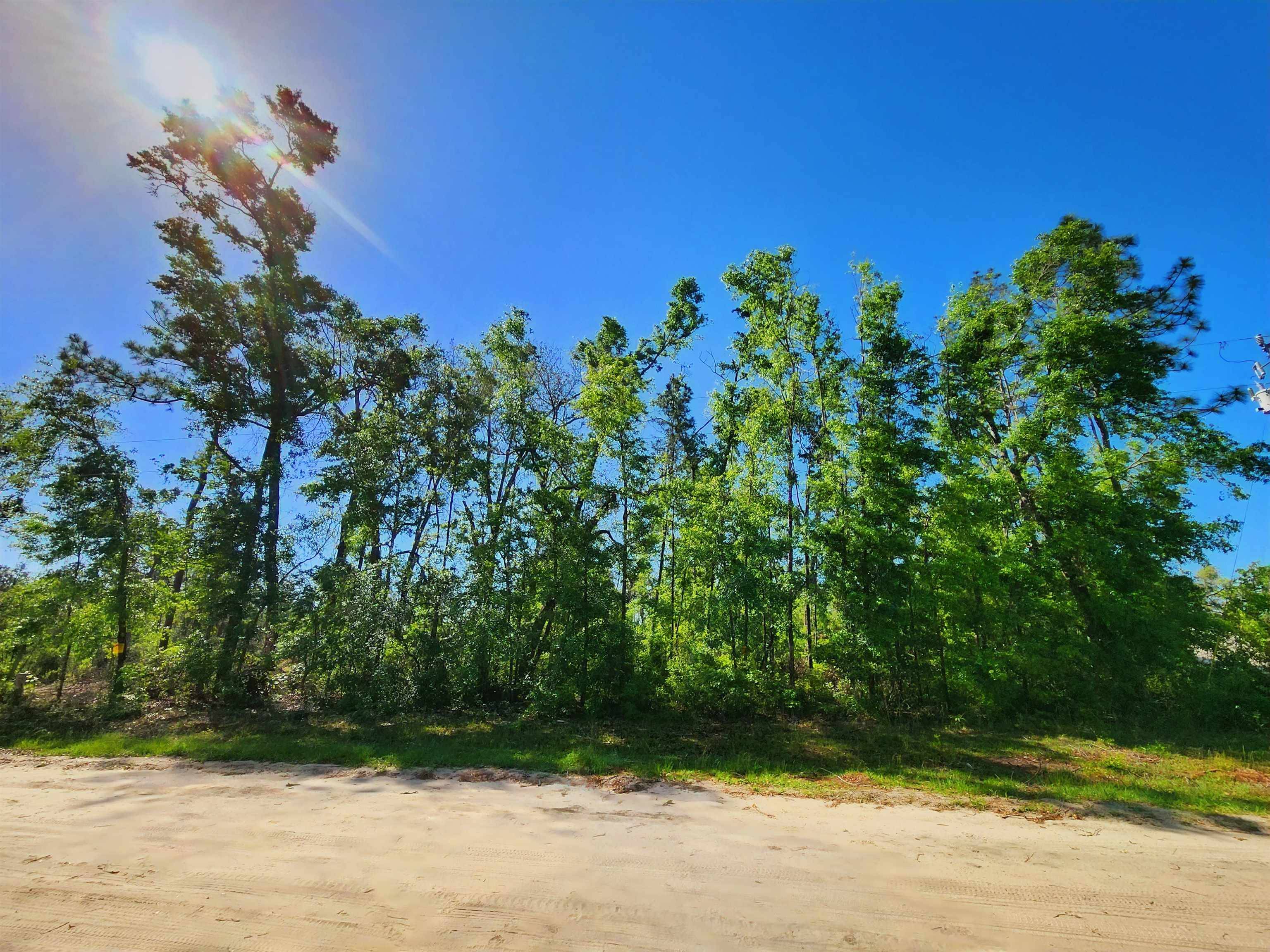 Jennings, FL 32053-0000,Lot 14 NW Champion Oak Boulevard