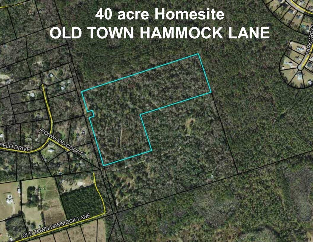 Crawfordville, FL 32327,40 ac 0 OLD TOWN HAMMOCK Lane