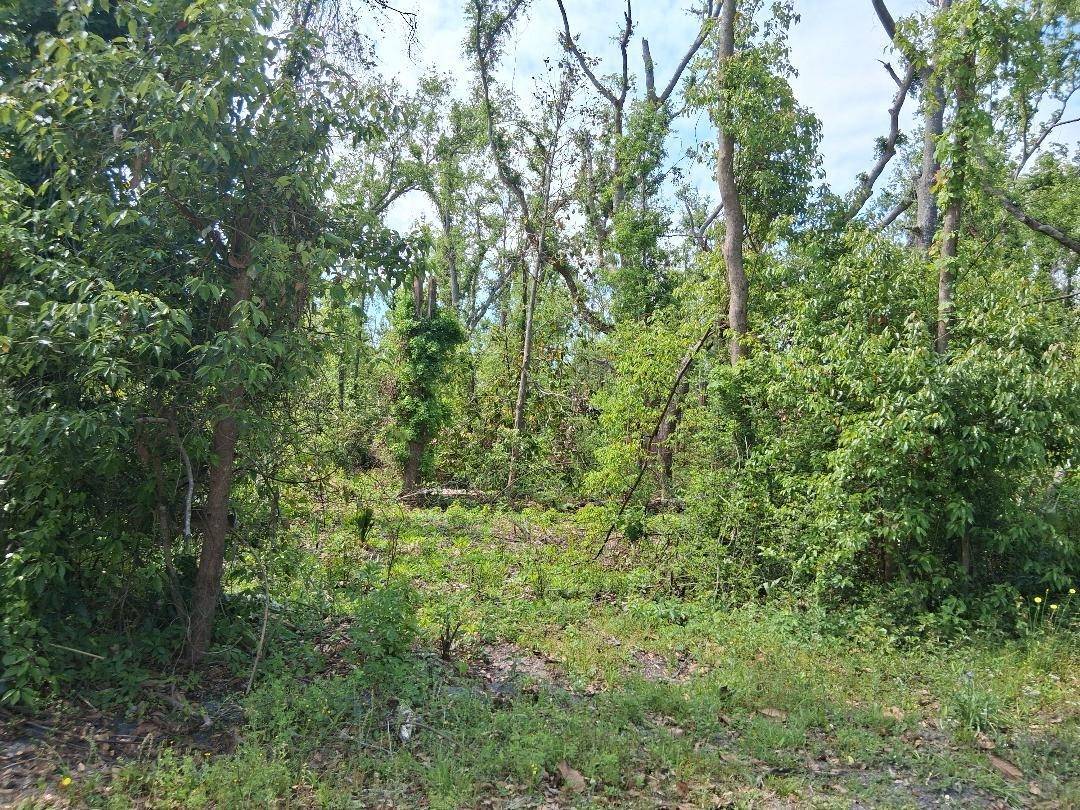 Perry, FL 32347,00 E Paige Street