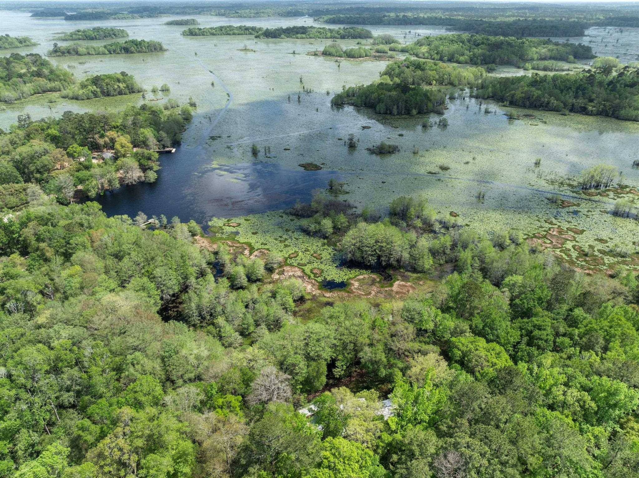 Tallahassee, FL 32312,12995 N Meridian Road