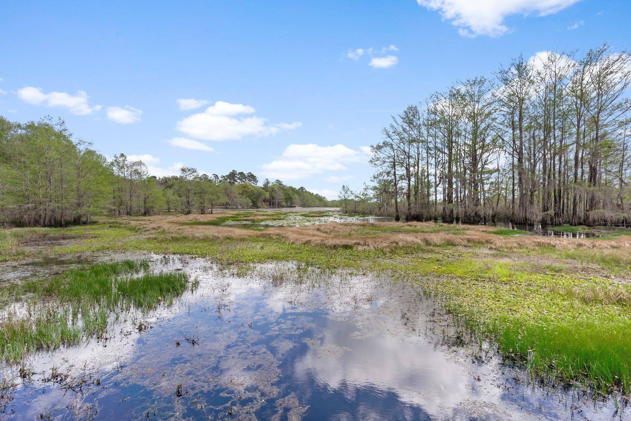 Tallahassee, FL 32312,12995 N Meridian Road