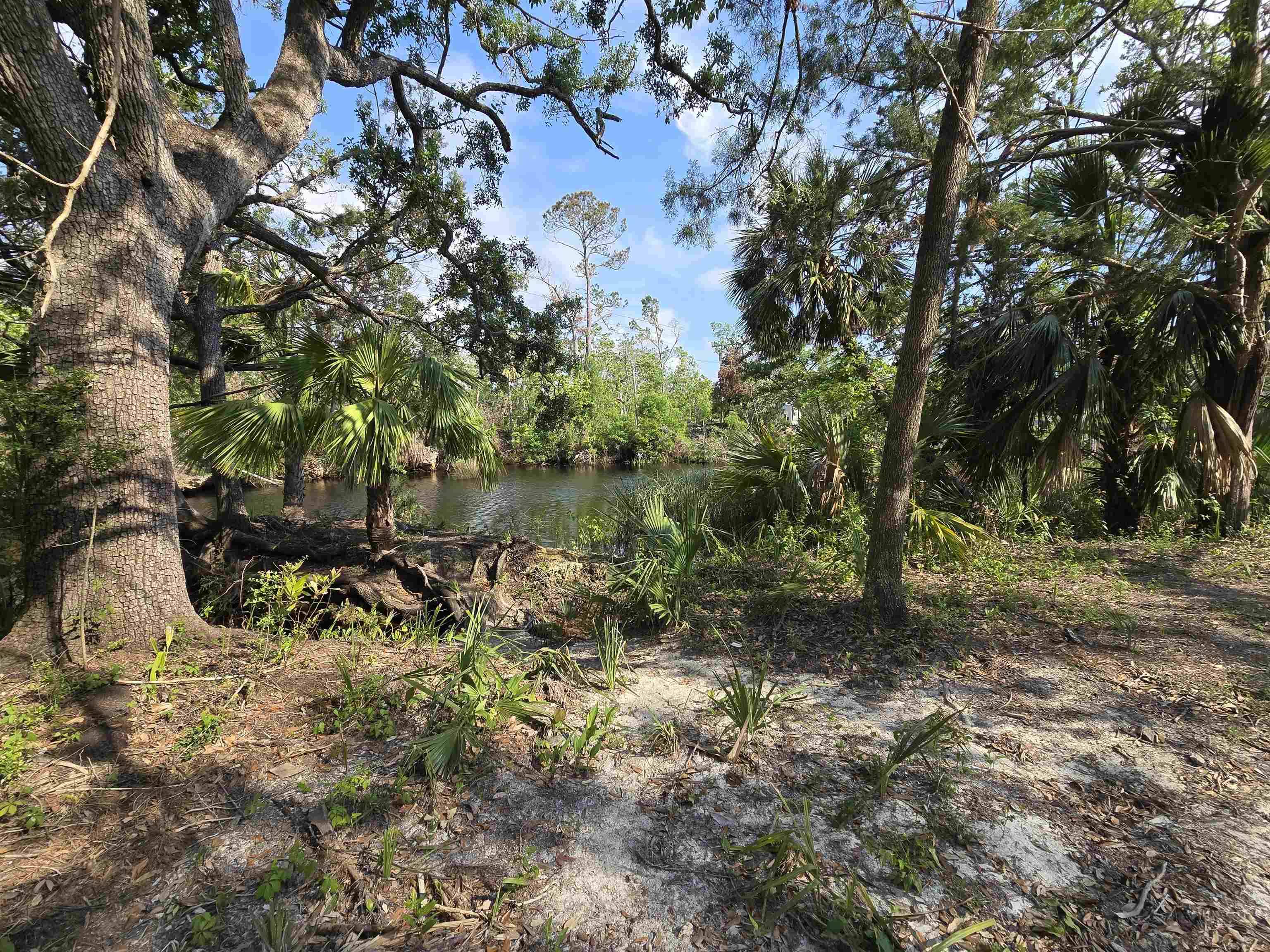 Steinhatchee, FL 32359,1605 SE 3rd Avenue