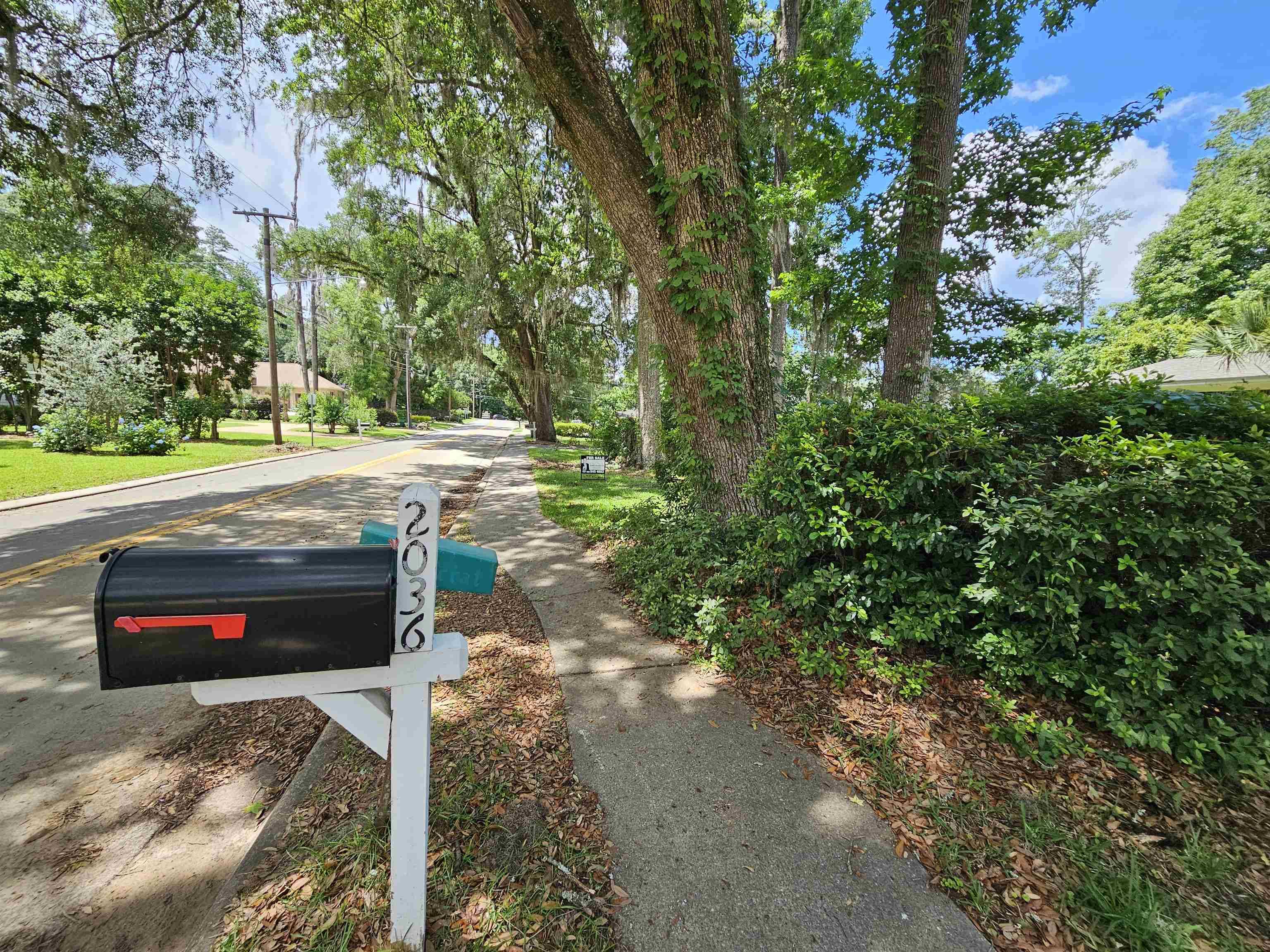 Tallahassee, FL 32308,2036 TRESCOTT Drive