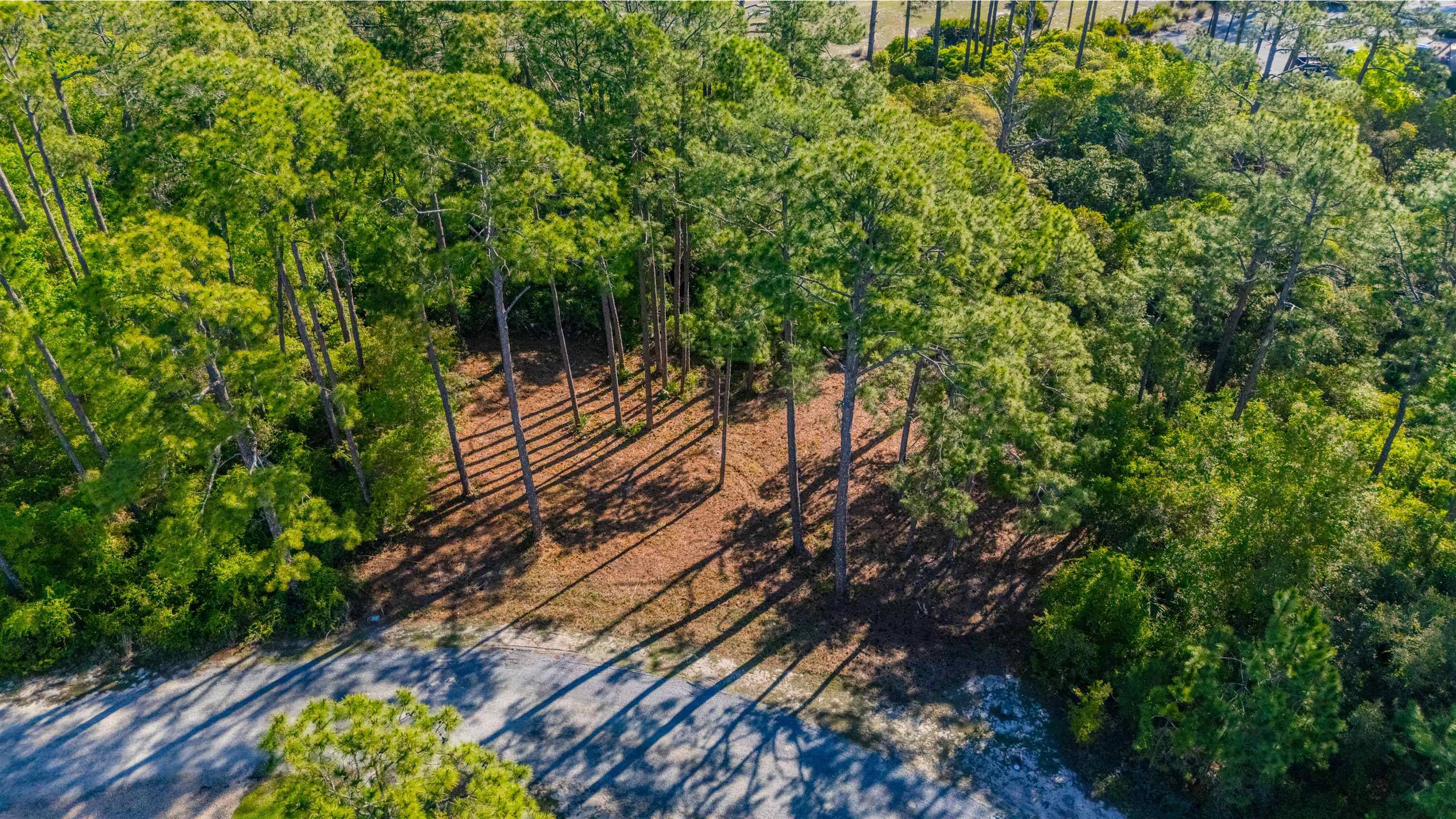 St Teresa, FL 32358,3493 Firefly Circle