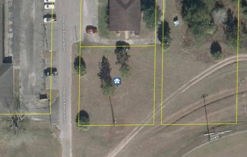 Perry, FL 32348,xxx N Peacock Avenue