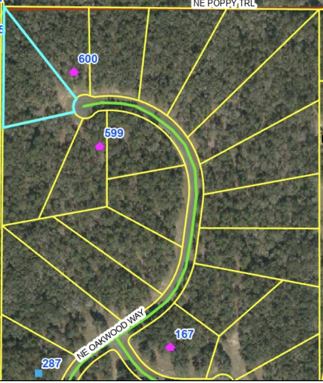 Madison County, FL 32350,0 NE Oakwood Way