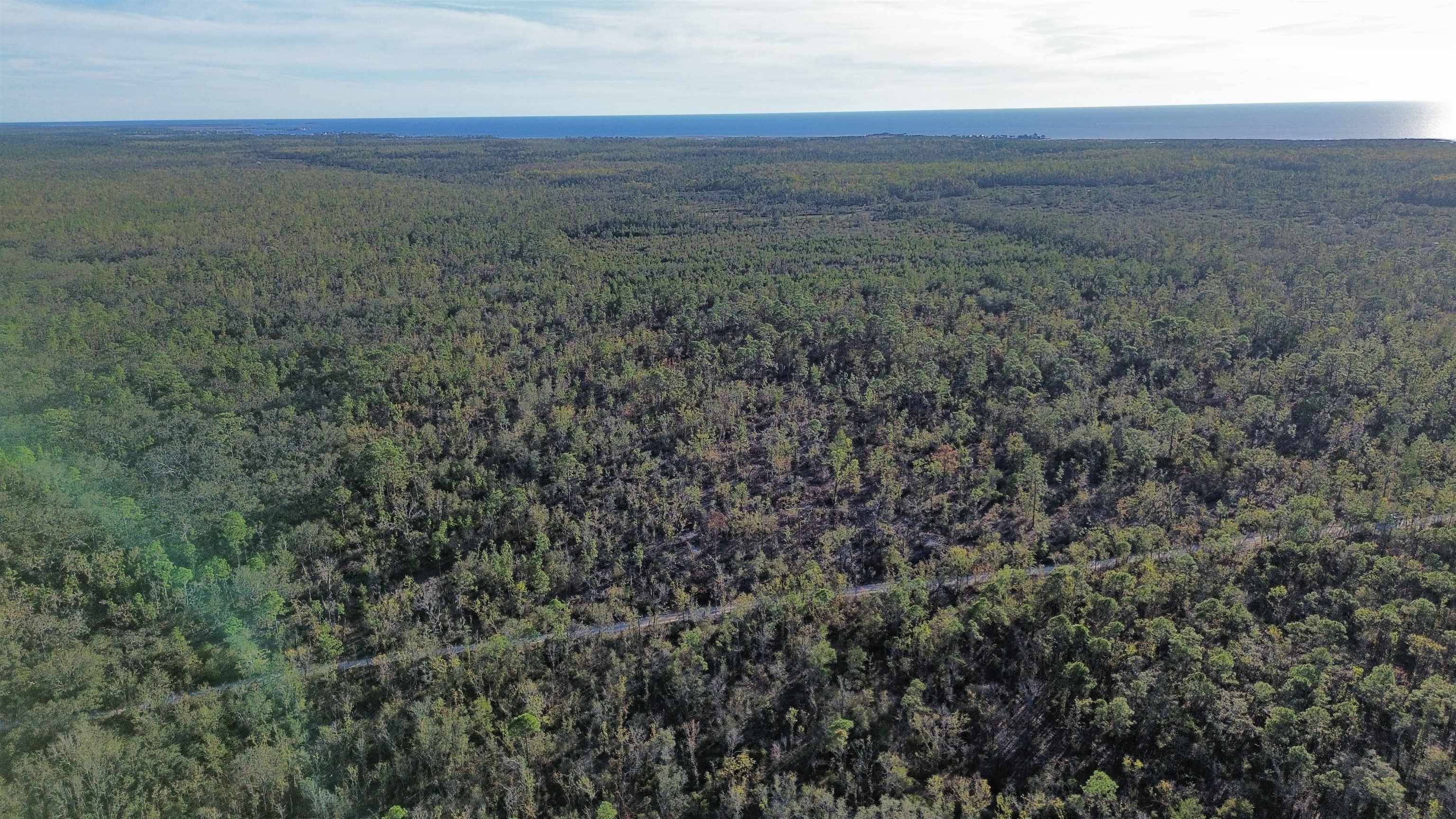 Perry, FL 32348,000 Clearwater Creek Lane