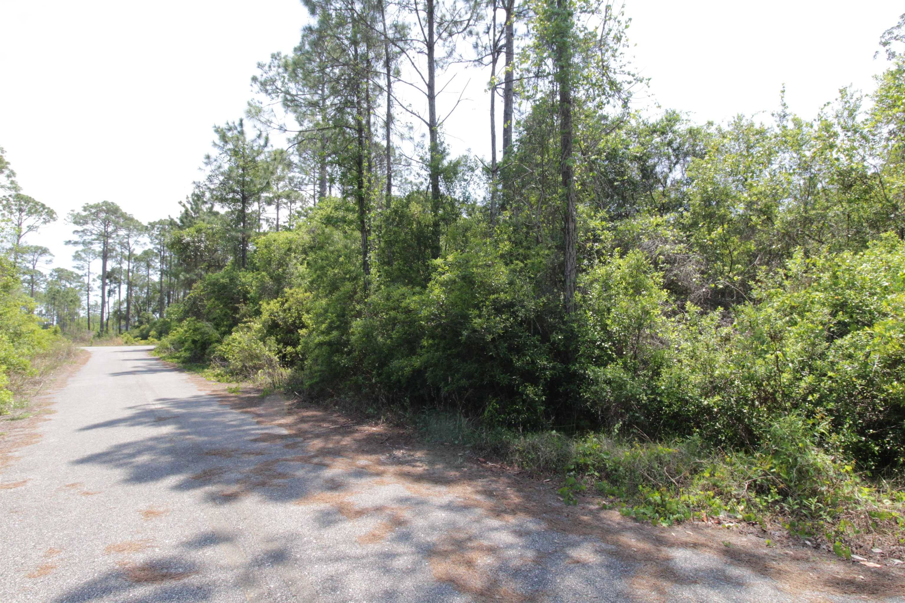 Carrabelle, FL 32322,146 Bay Magnolia Court