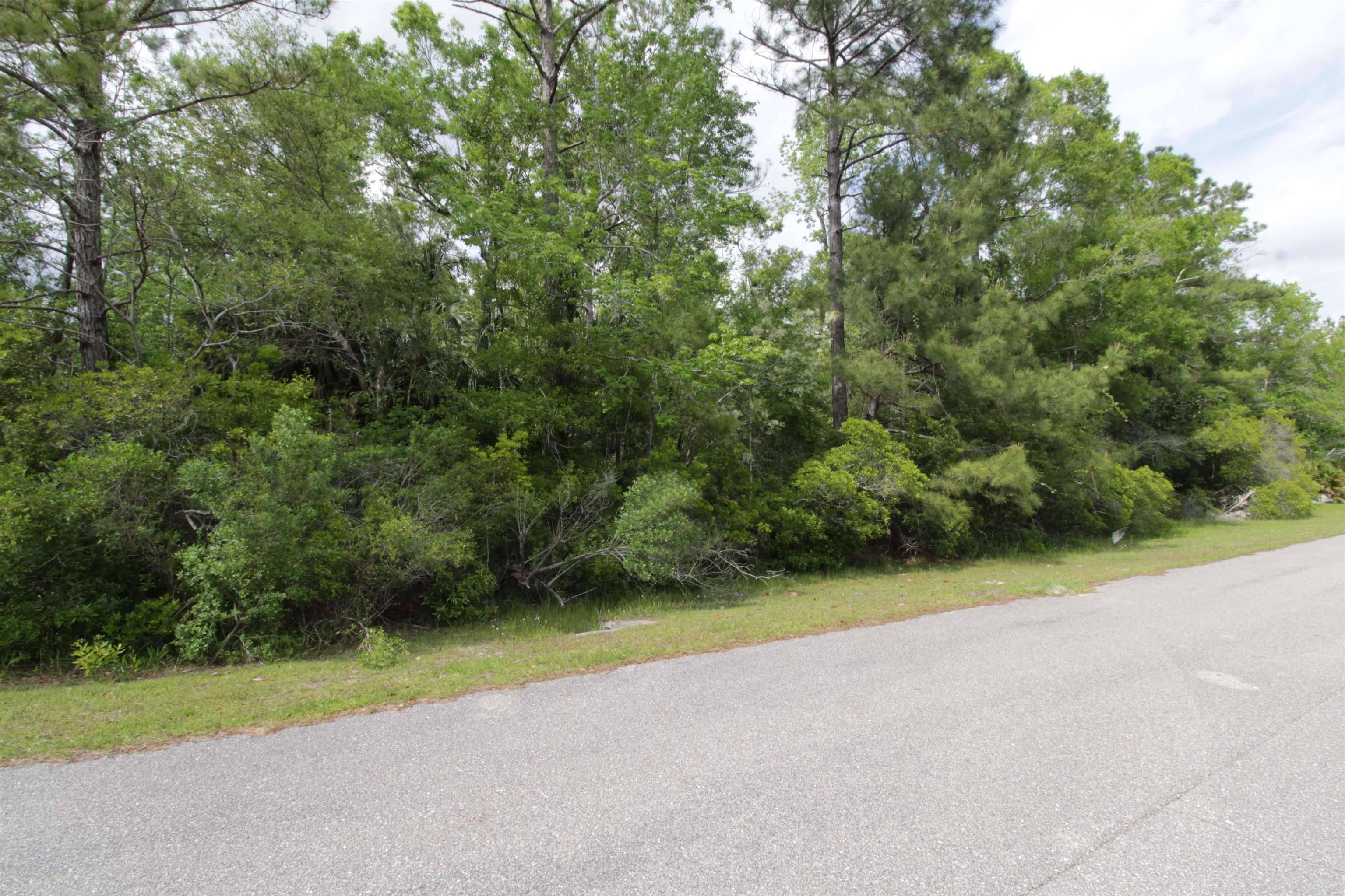 St Marks, FL 32355,Lot 41 Burnt Pine Loop
