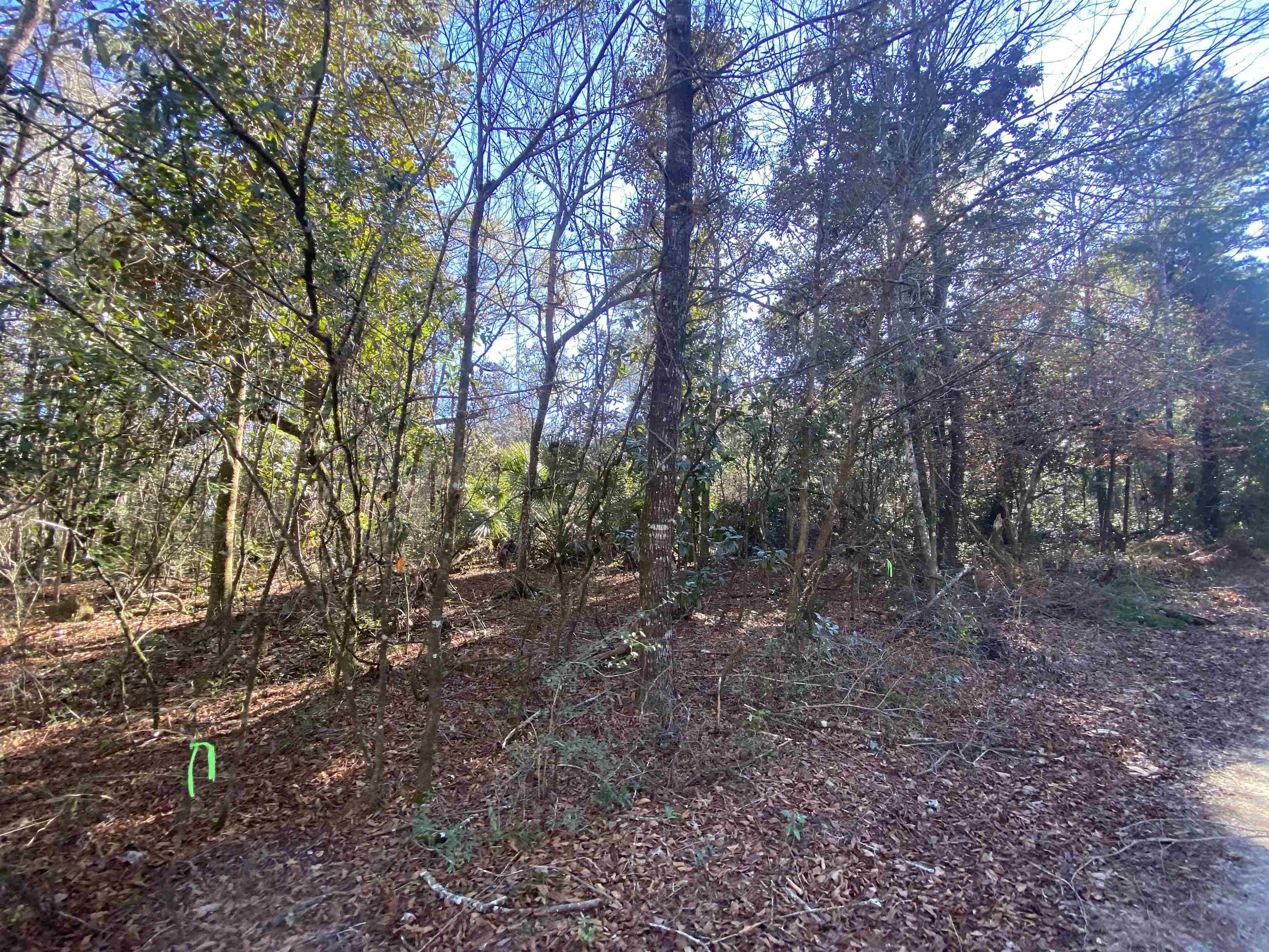 Crawfordville, FL 32327,xxx J K Moore Road