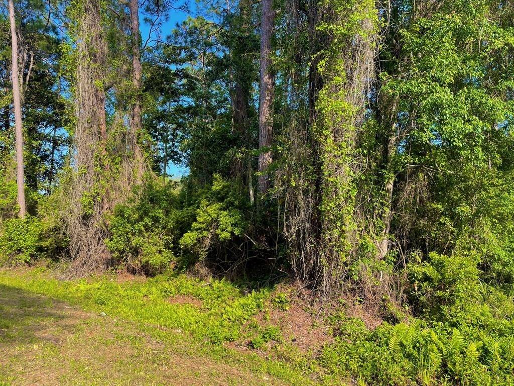 Lanark Village, FL 32323,2500 Pinewood Avenue