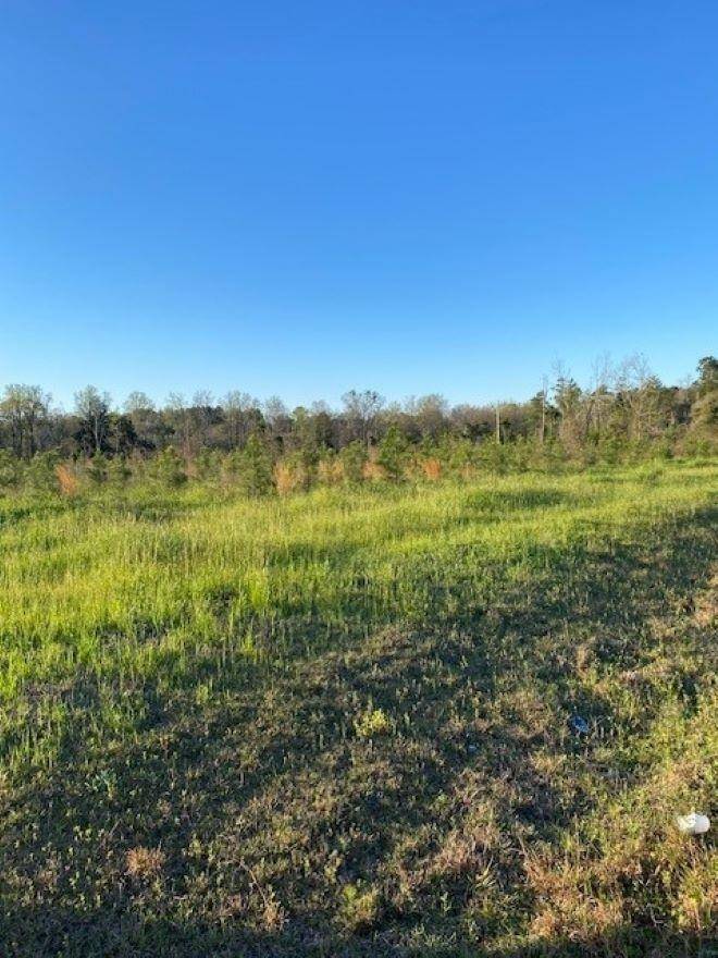 Cairo, GA 39828,S 111 Highway