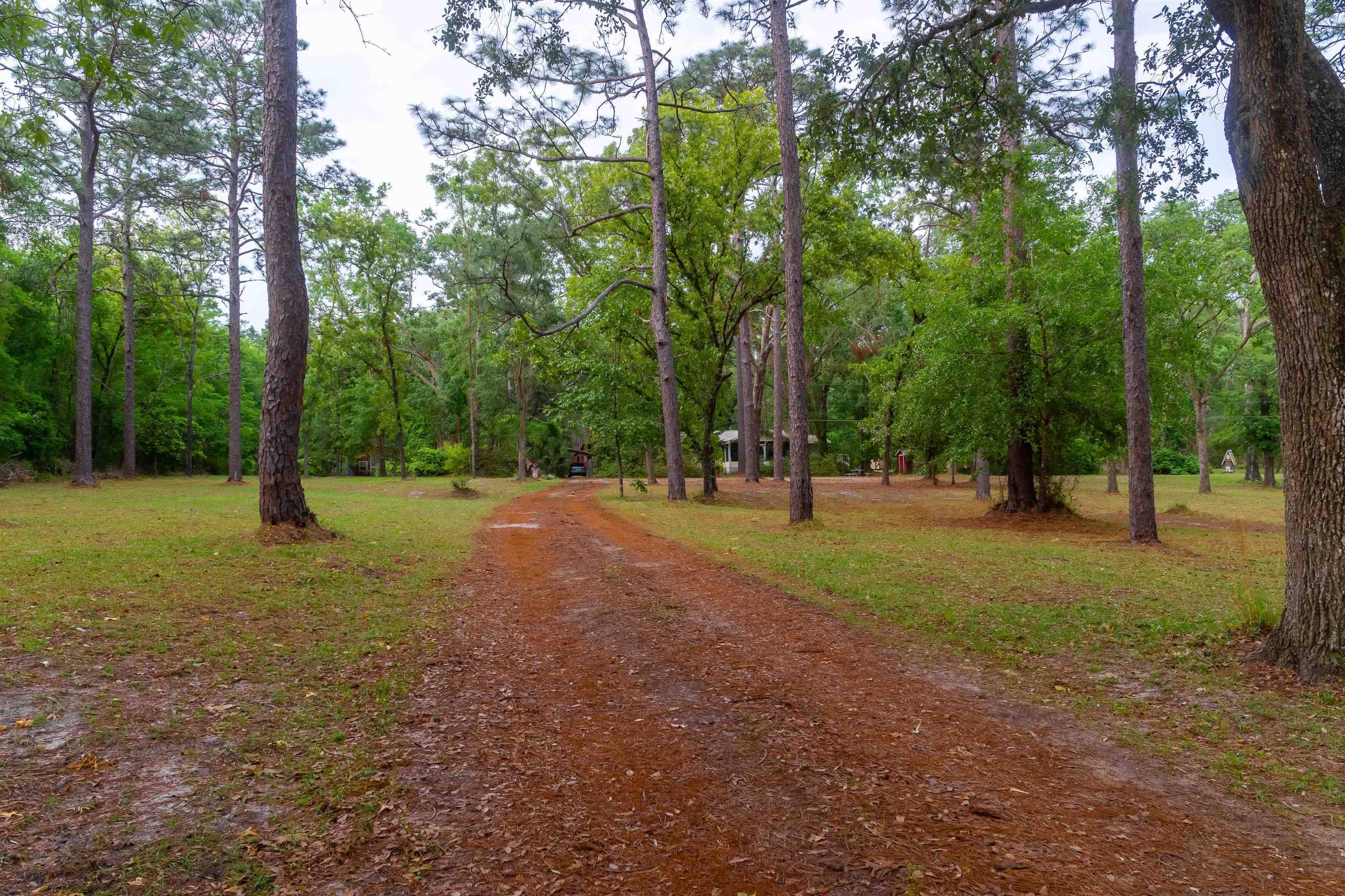 Pinetta (madison County), FL 32350,3751 NE Persimmon Dr.