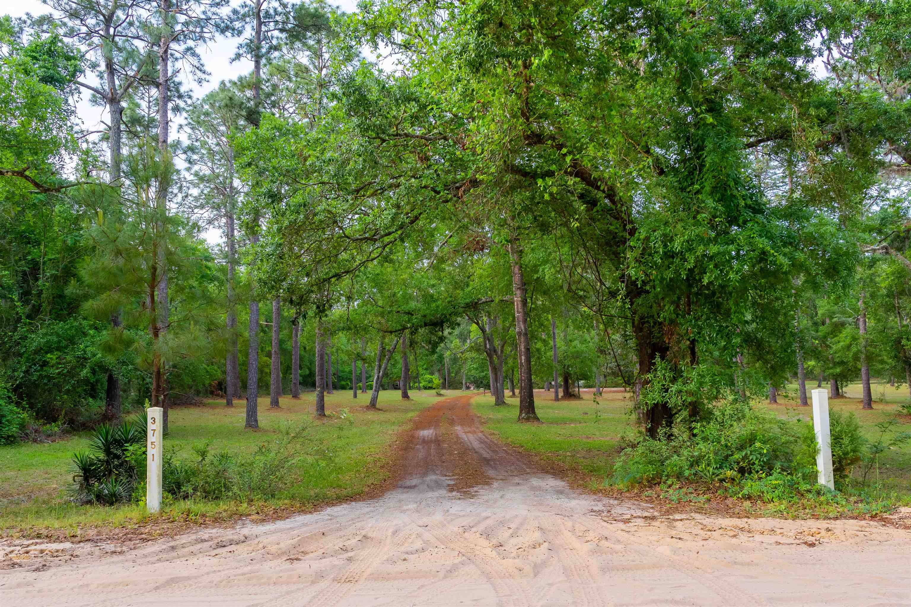 Pinetta (madison County), FL 32350,3751 NE Persimmon Dr.