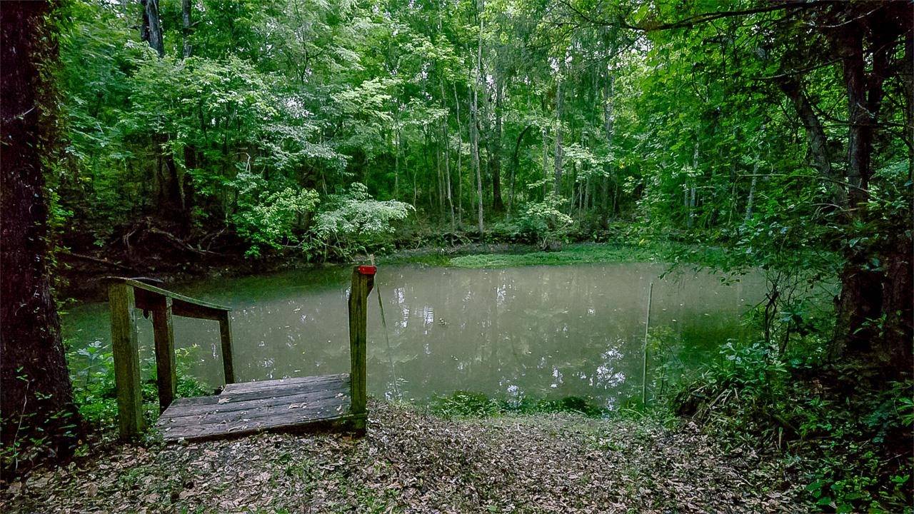 Tallahassee, FL 32312,3006 Southshore Circle