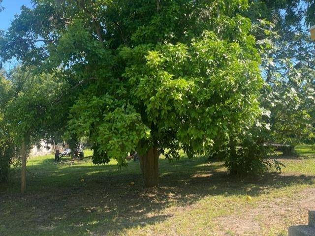 Madison, FL 32340,191 SW Crosby Avenue